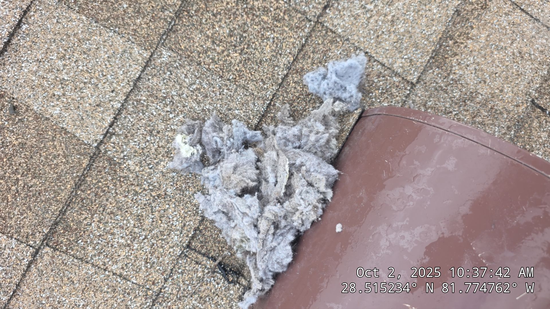 Dryer Vent Cleaning in Clermont by Hygienic Air, Inc