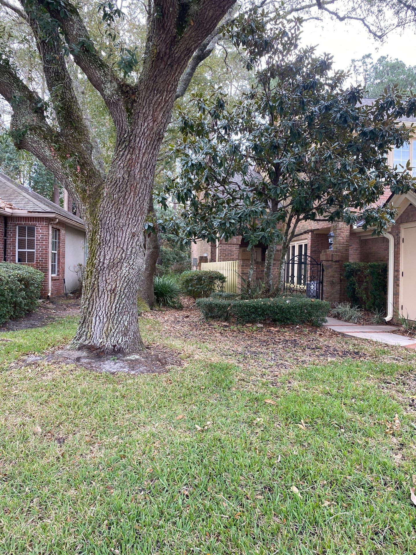 Deerwood Pointe | Tree Removal & Pine Straw Installation by ProGreen Services