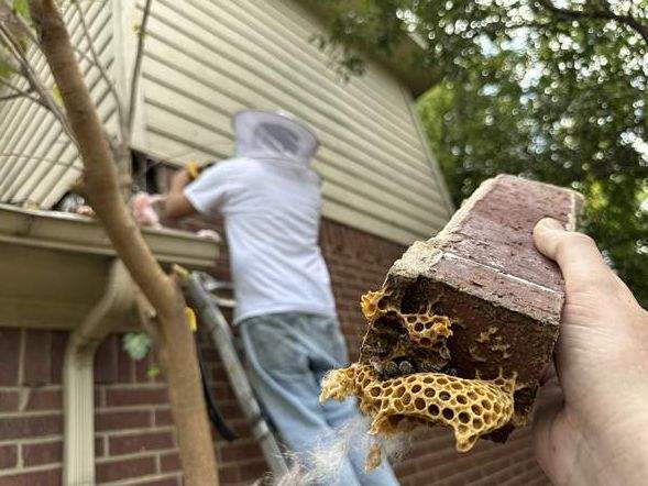 Between Floors by Rockwall Honey Bee Company