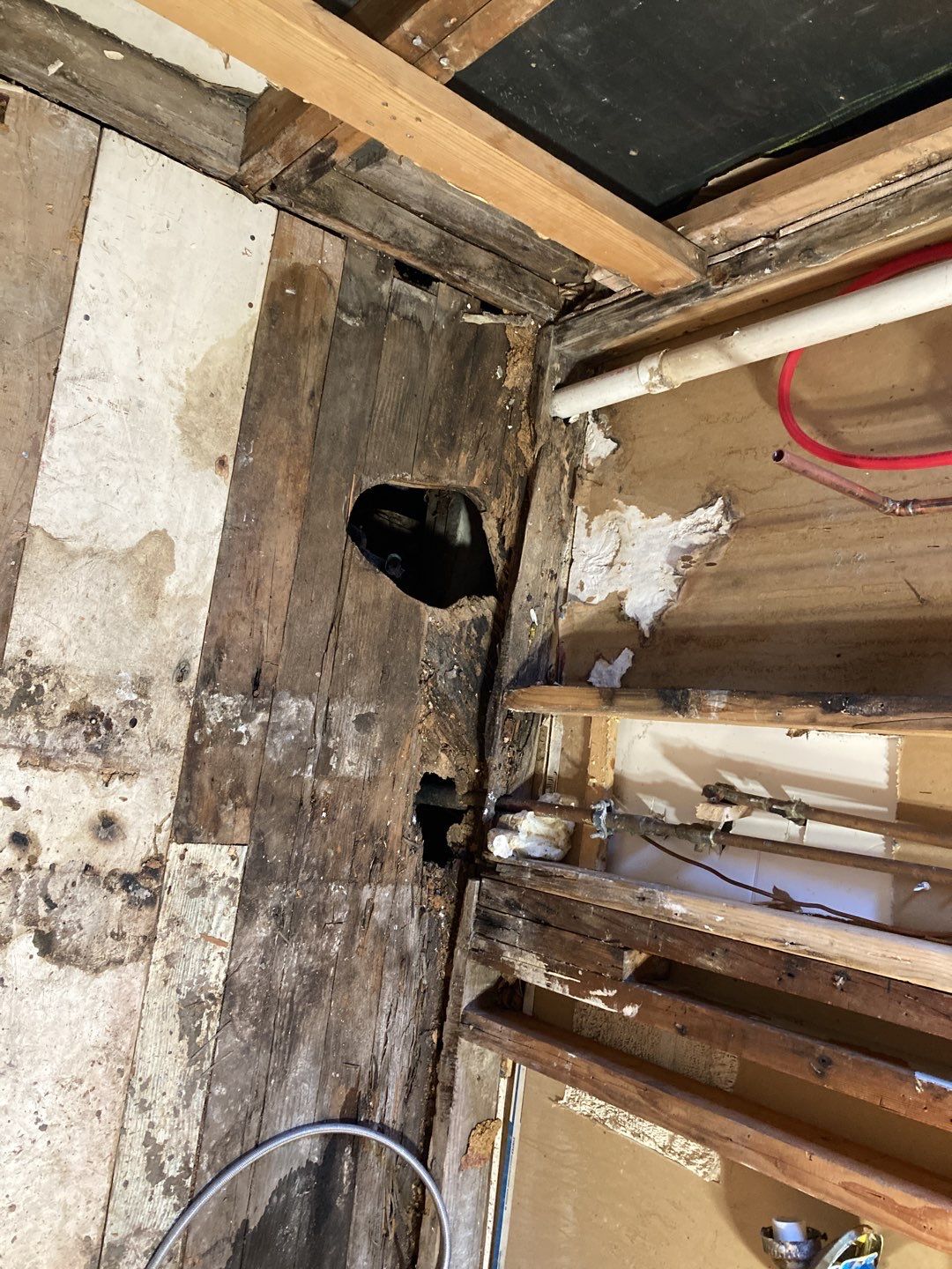 Water Damage in Bathroom by Accountable Home Services