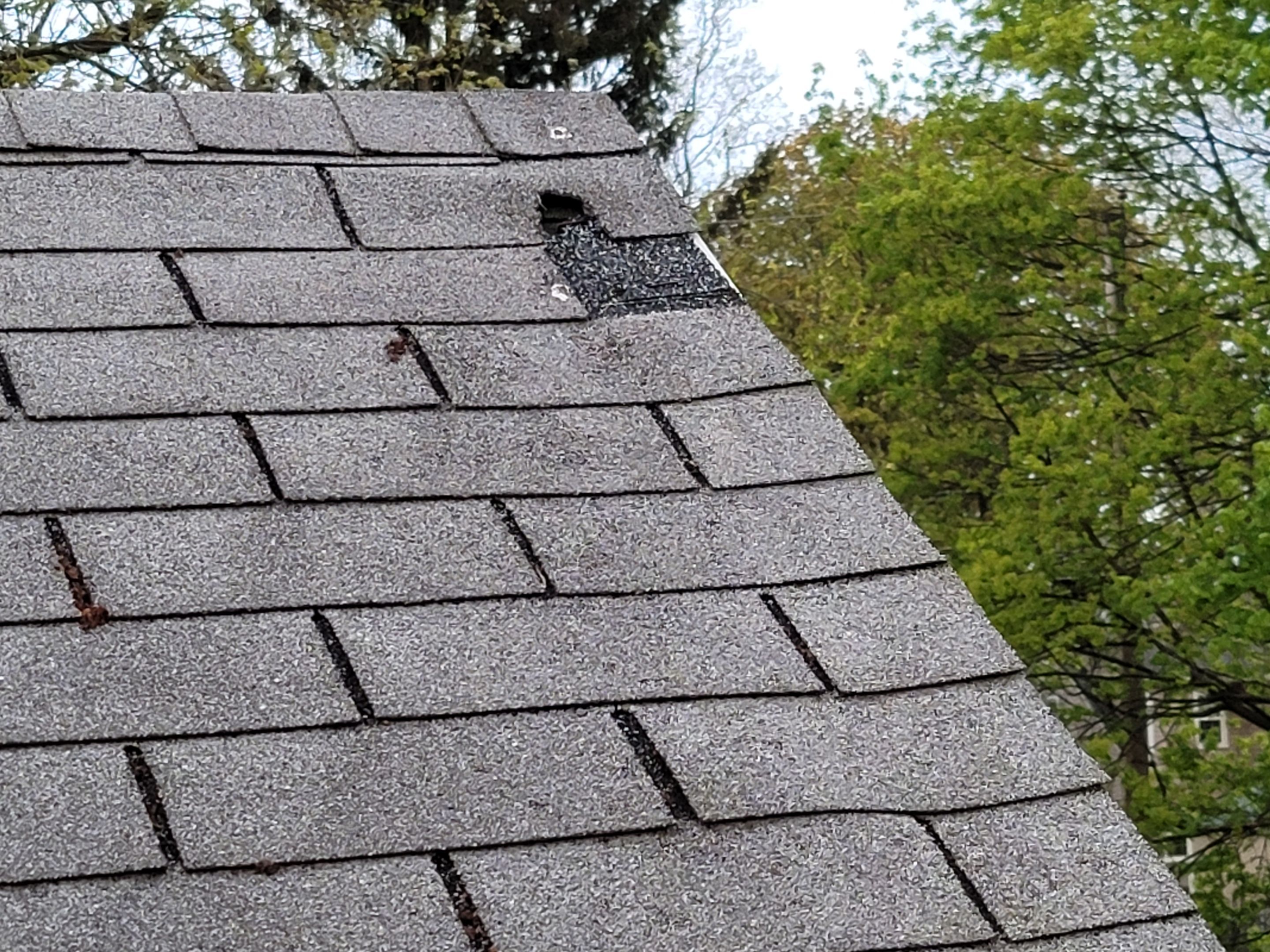 ATLAS PINNACLE SCOTCHGARD COLOR: PEWTER DRIP EDGE: BLACK by Eagle Eye Roofing