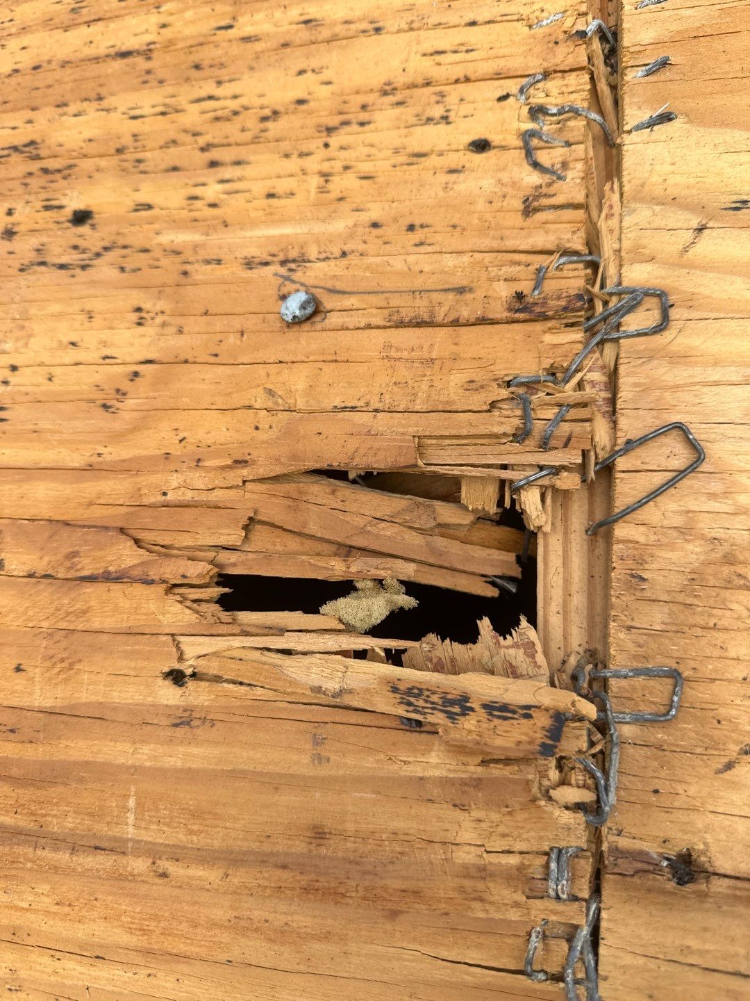 Roof Replacement Houston by Roof Repair Company