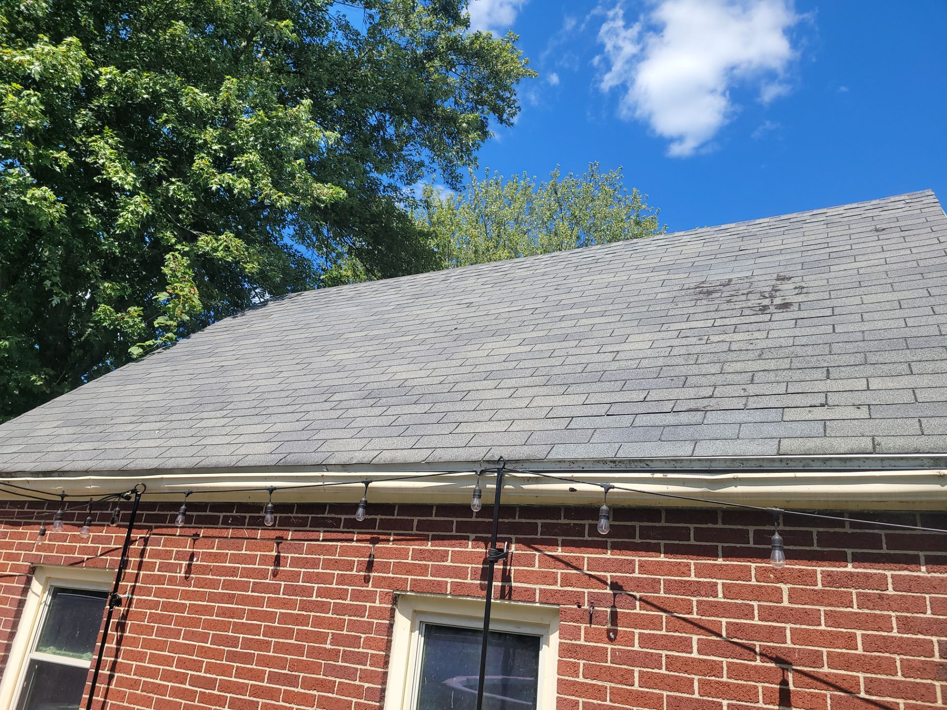 Robert Payne by Silver Leaf Contracting 