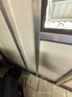 Mold Removal In Palmetto