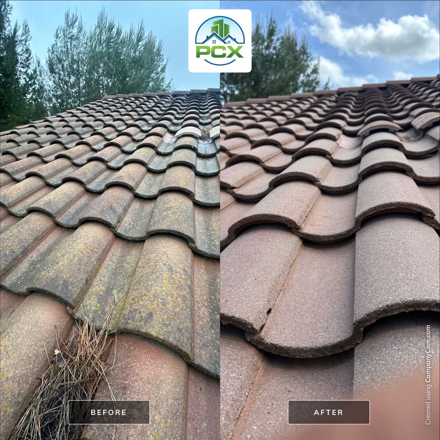 Irvine Roof Washing and Solar Panel Cleaning by Property Cleaning Experts, LLC