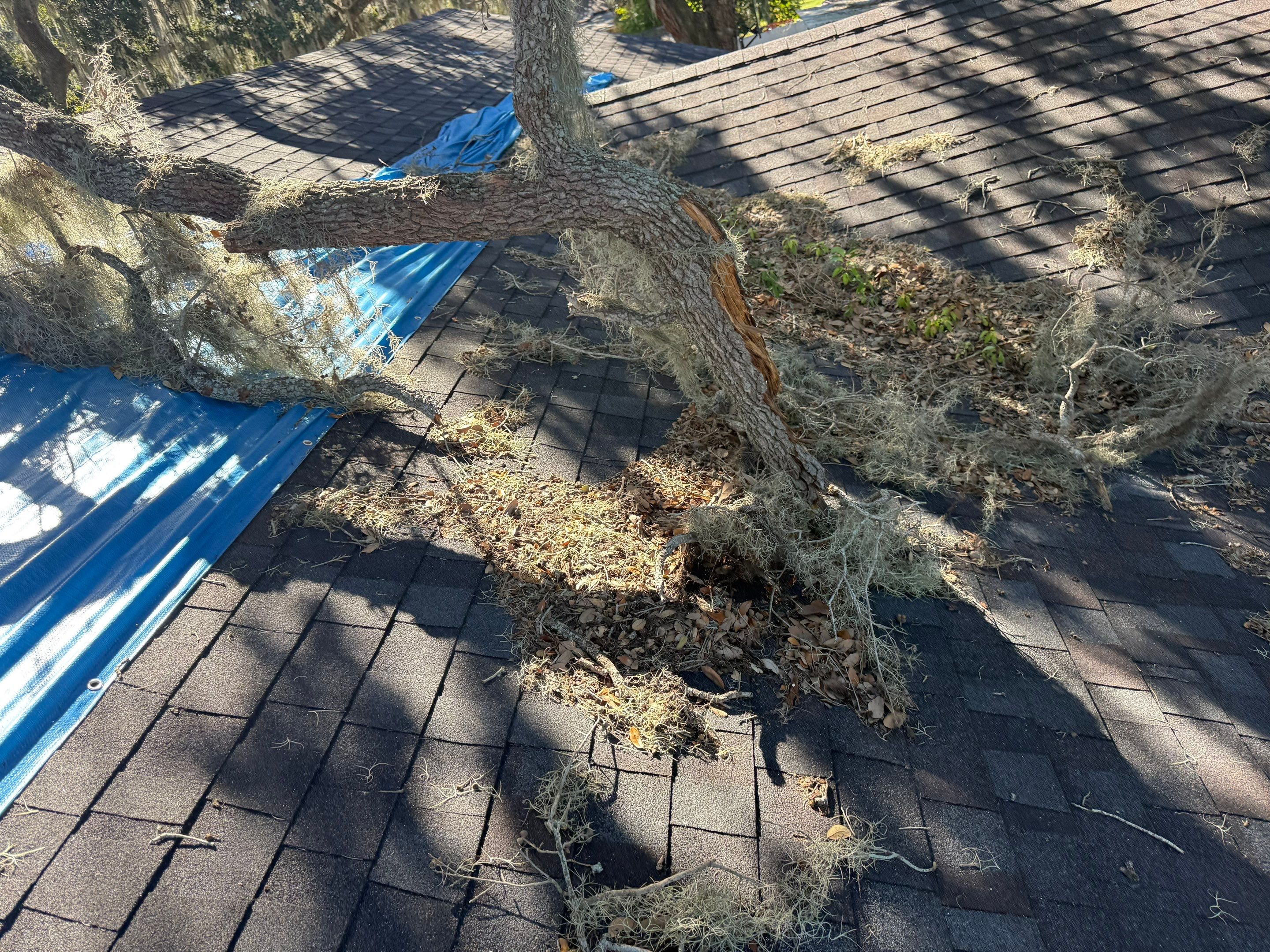 Project in Lakeland by You Restorations LLC DBA YOU-Home