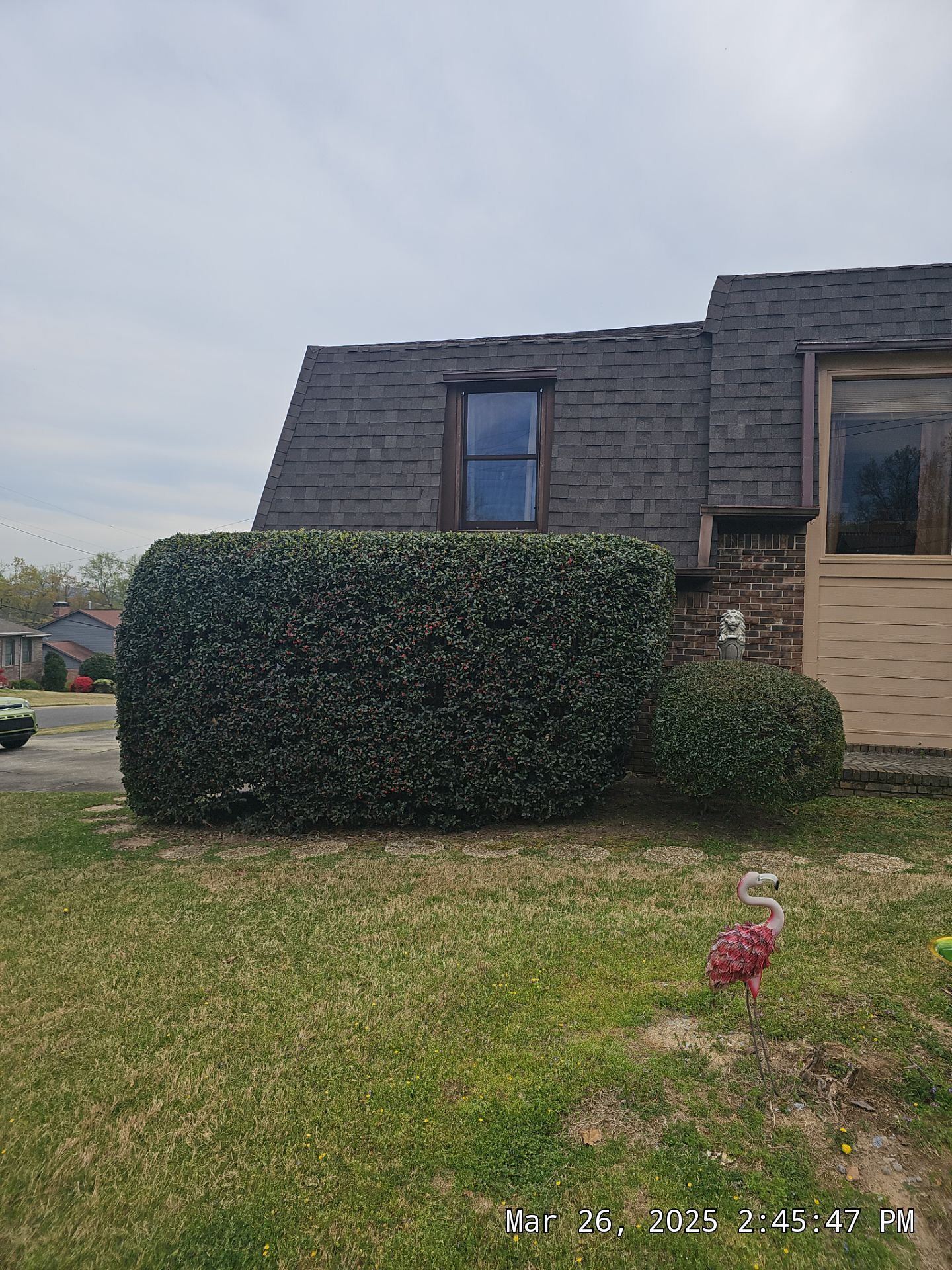 Benson Project in Hoover by The Window Source