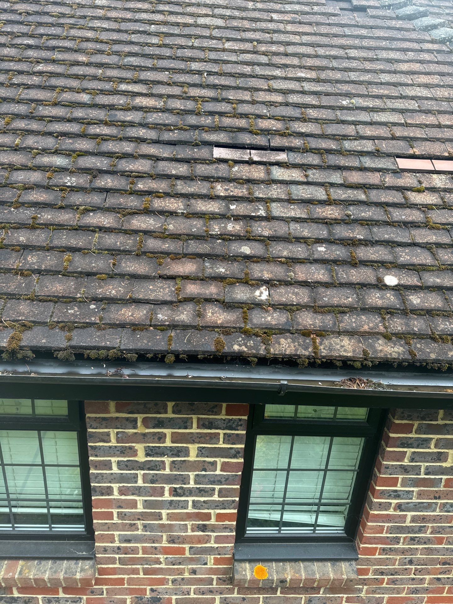 Roof Clean and Biocide Treatment using Honda 15lpm Low Pressure Washing Machine by Ges Exterior Cleaning ltd