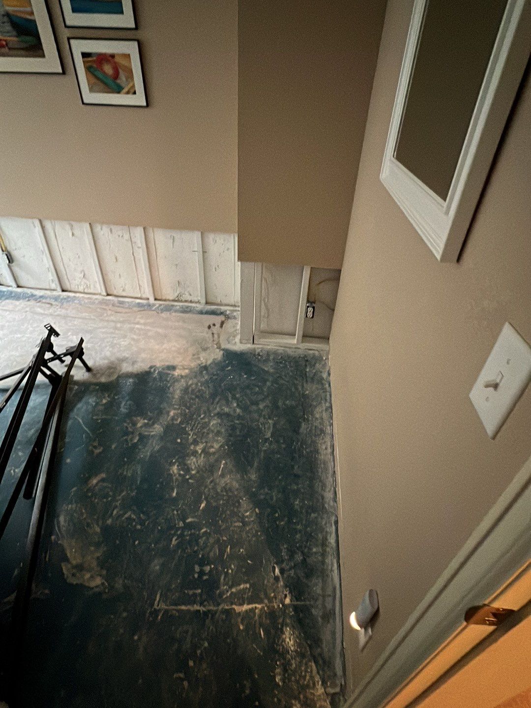 Mold Damage by Accountable Home Services