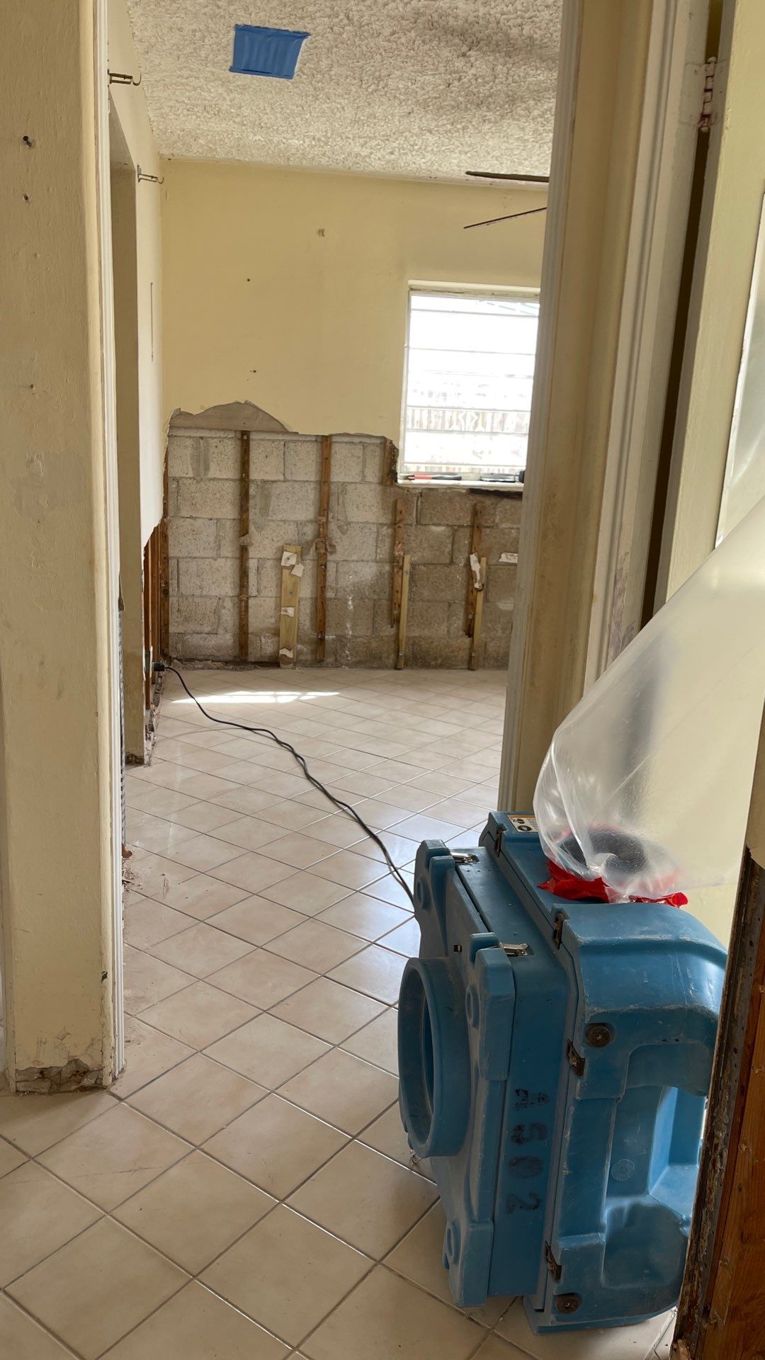 Mold Remediation  by THE RAPID TEAM