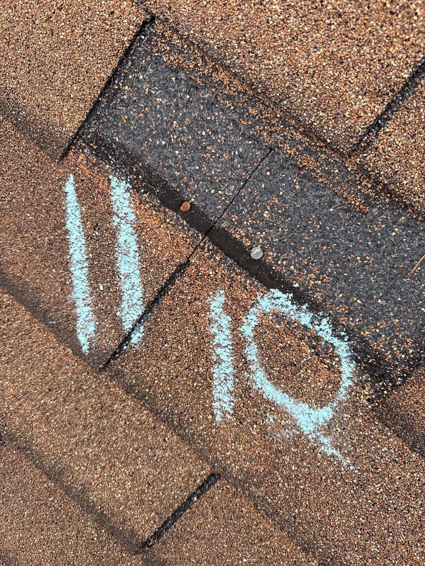 BARB C. by Boss Hogg Roofing