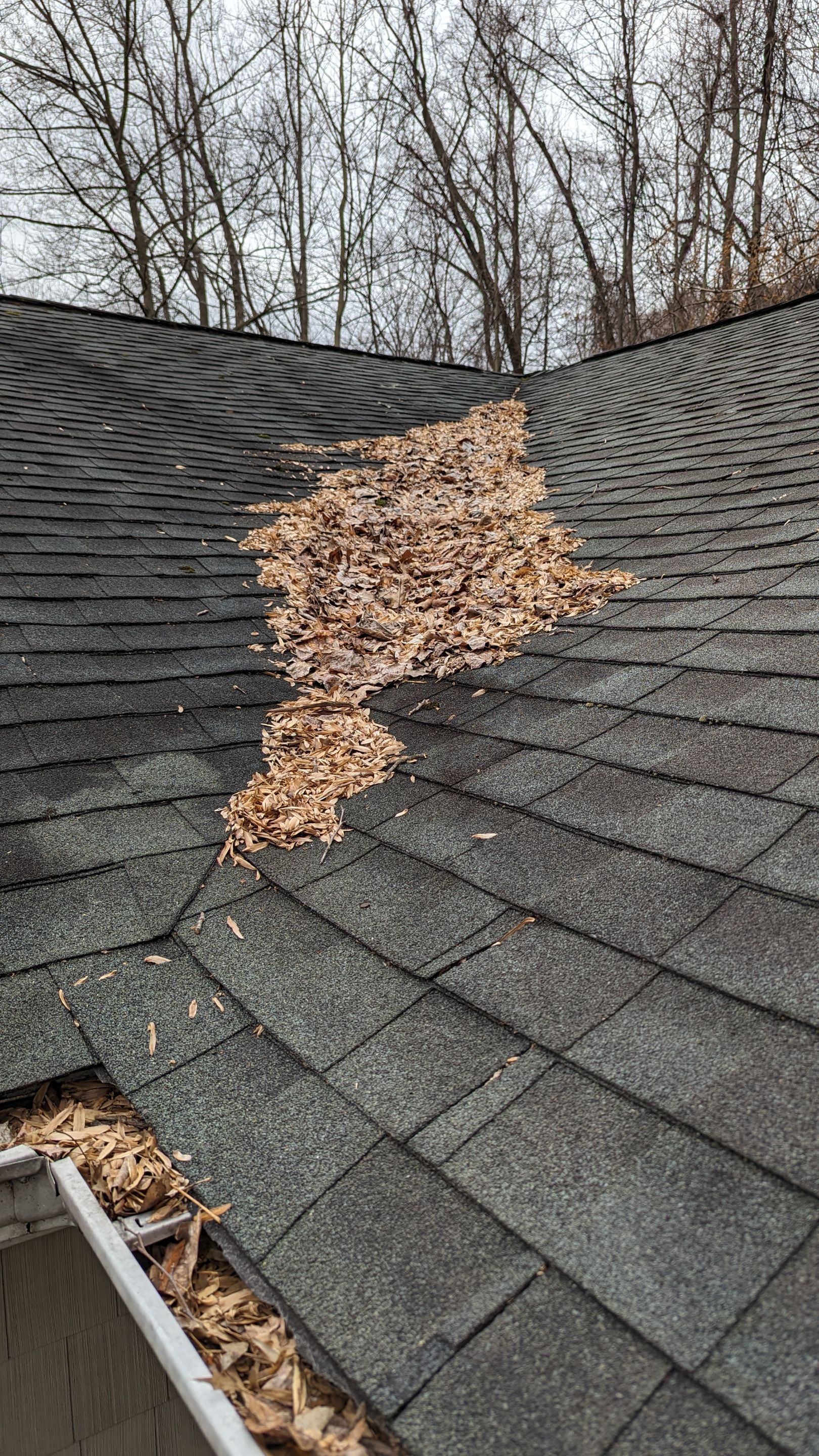 Appalachian Sky & Enhanced Ventilation by Maven Roofing & Exteriors LLC