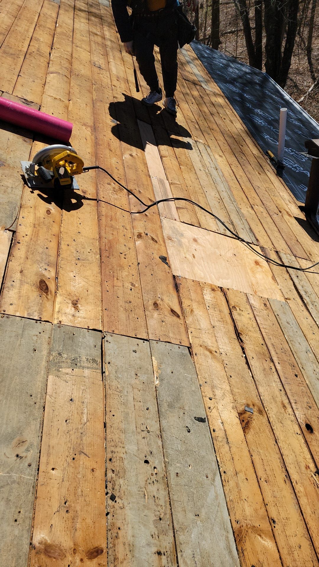Roofing & Windows | Littleton by Mighty Dog Roofing of Greater Middlesex County