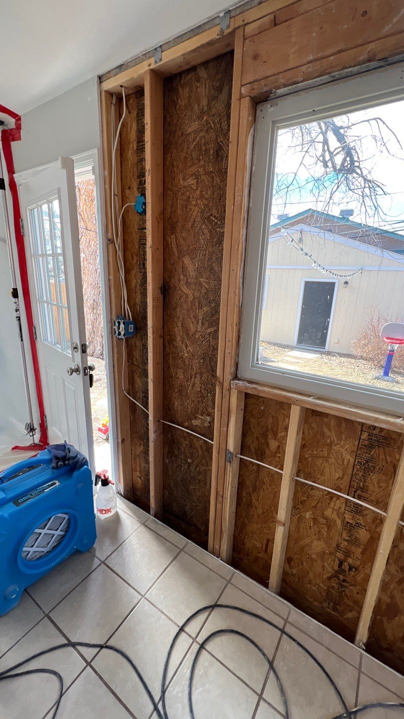 Mold Remediation  by Accountable Home Services