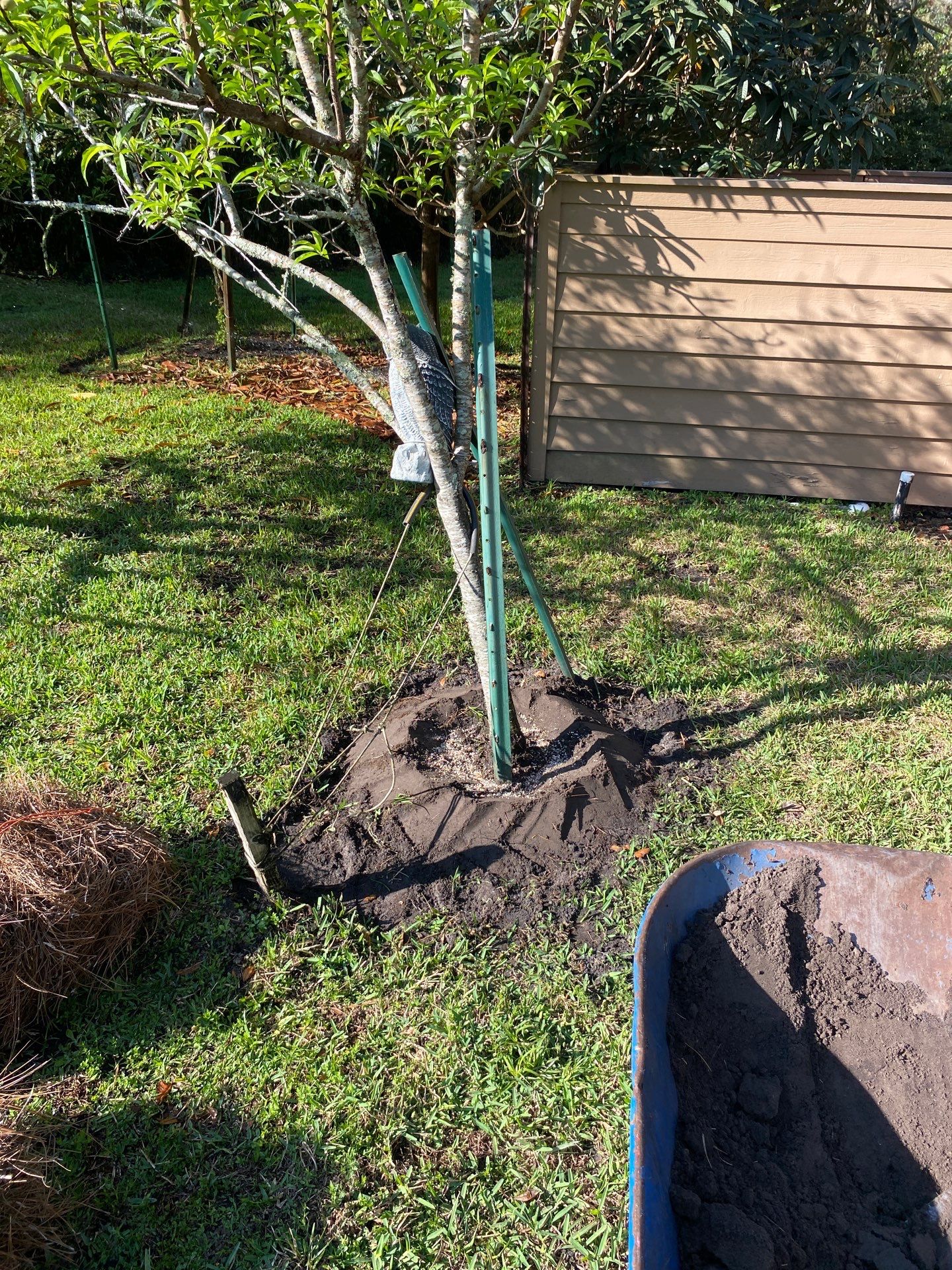 Deerwood Resident | Landscaping by ProGreen Services