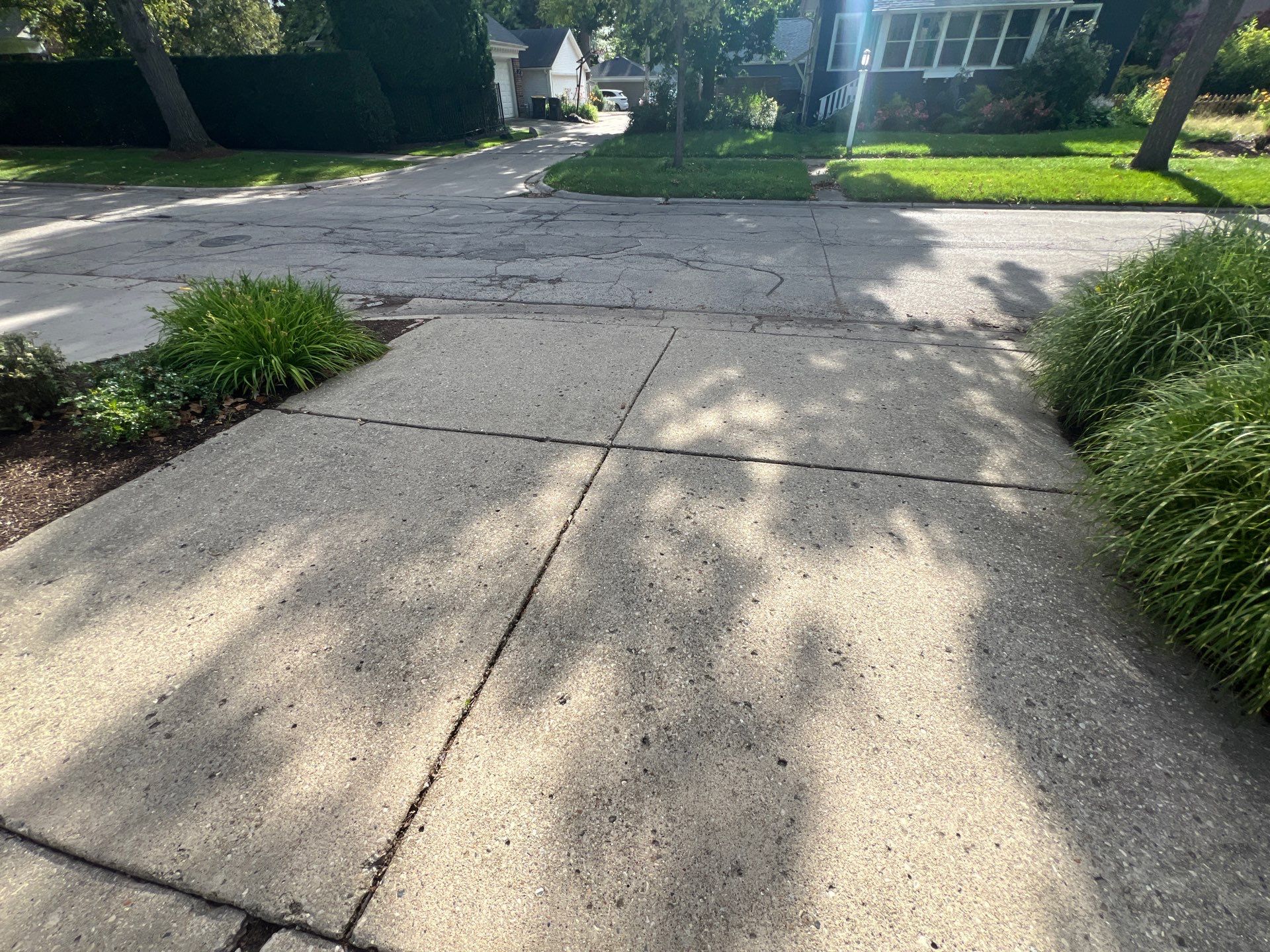 concrete cleaning using Algaecide, soft wash soap by Northern Power Washing LLC.