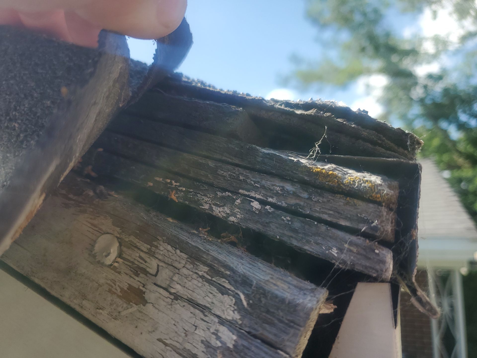 Odgen Utah Residential Roof Replacement by ASAP Roofing & Restoration