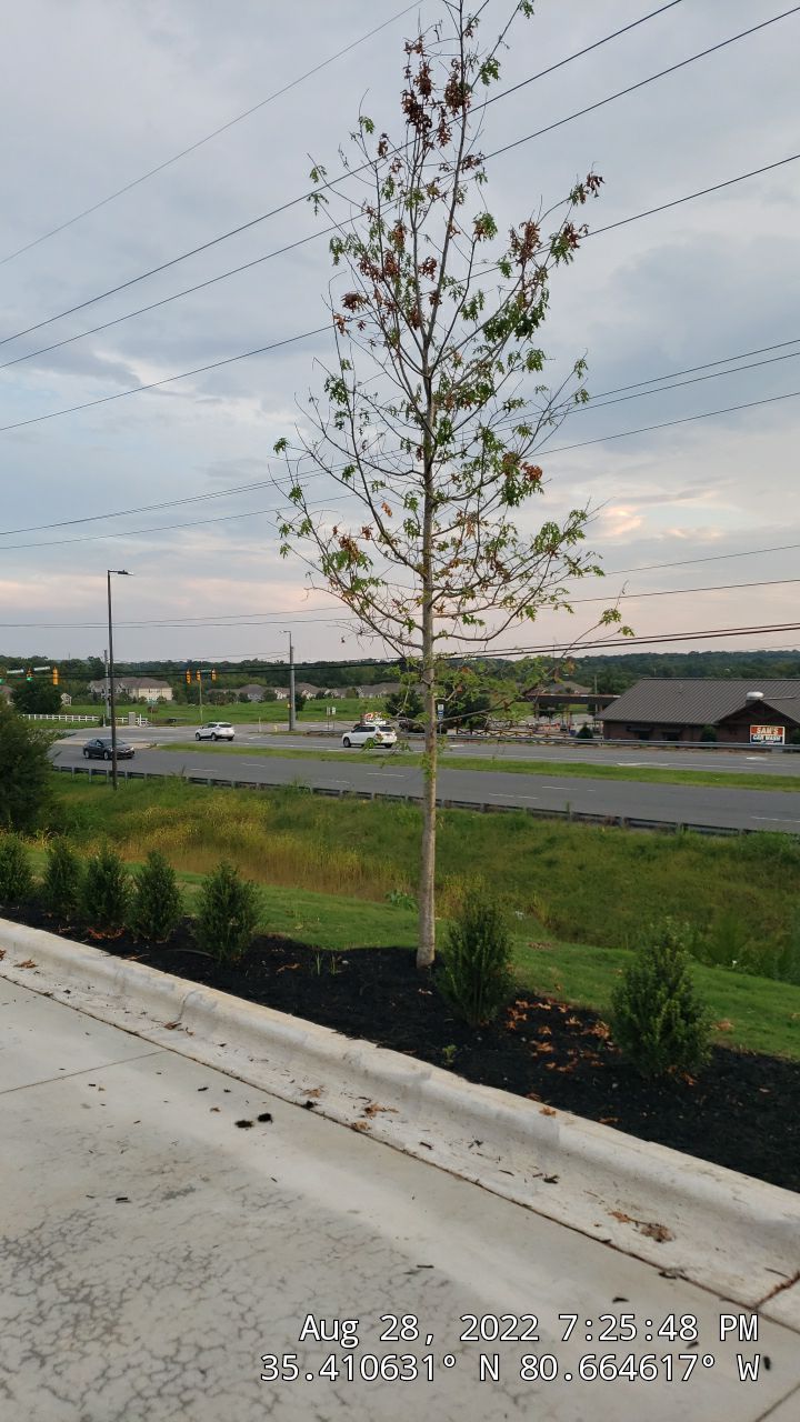 Commercial Landscaping Harris Teeter Fuel Station by Carolina-Metro Landscape, Inc
