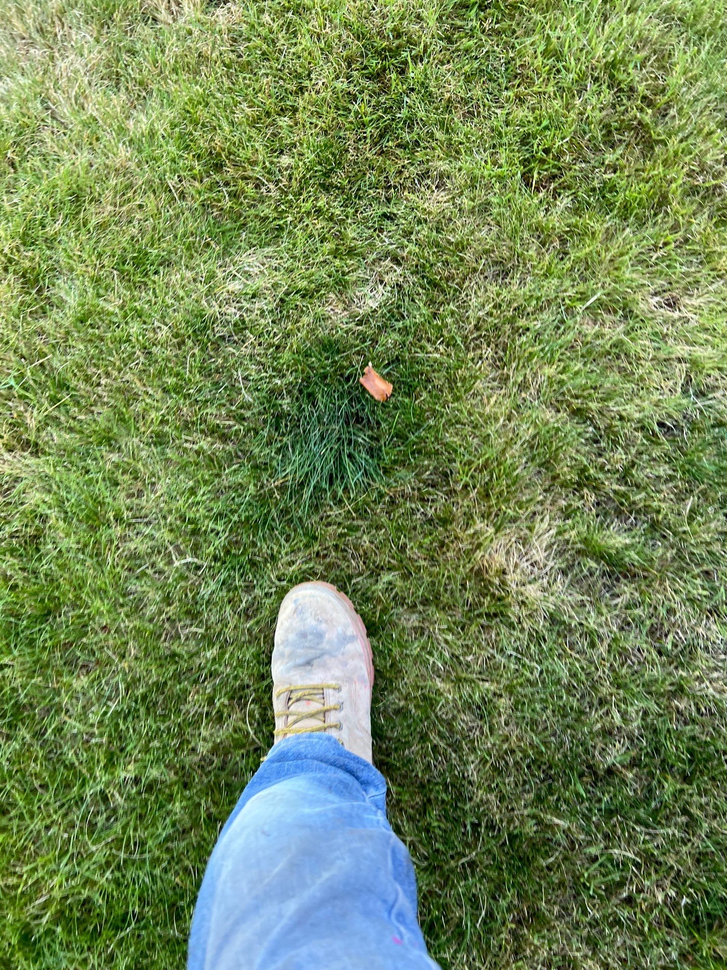 Susan | Concrete Patio by Jireh Asphalt & Concrete Inc 