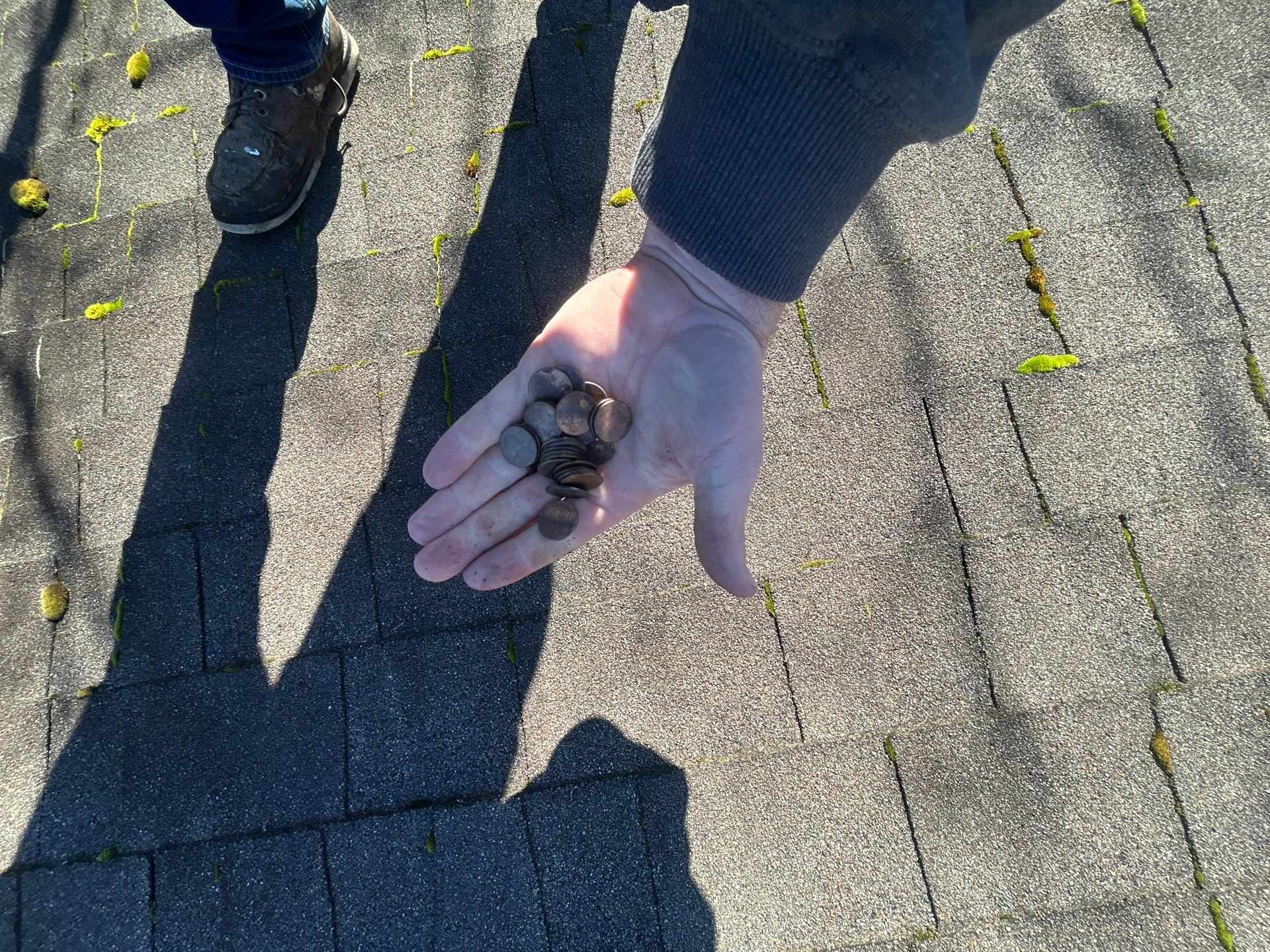 Project in Mount Vernon by Connolly Construction Company