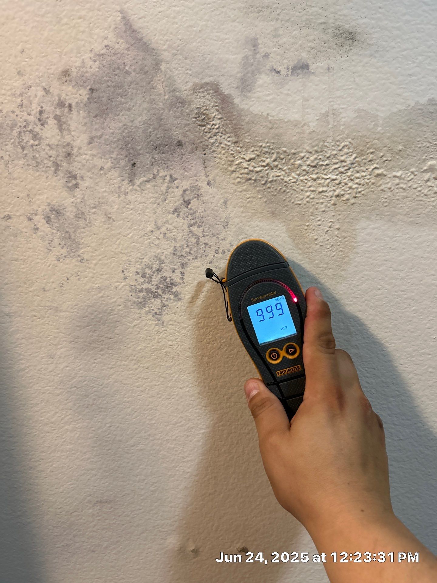 Water Damage Restoration In Sarasota by Ampm Restoration Services