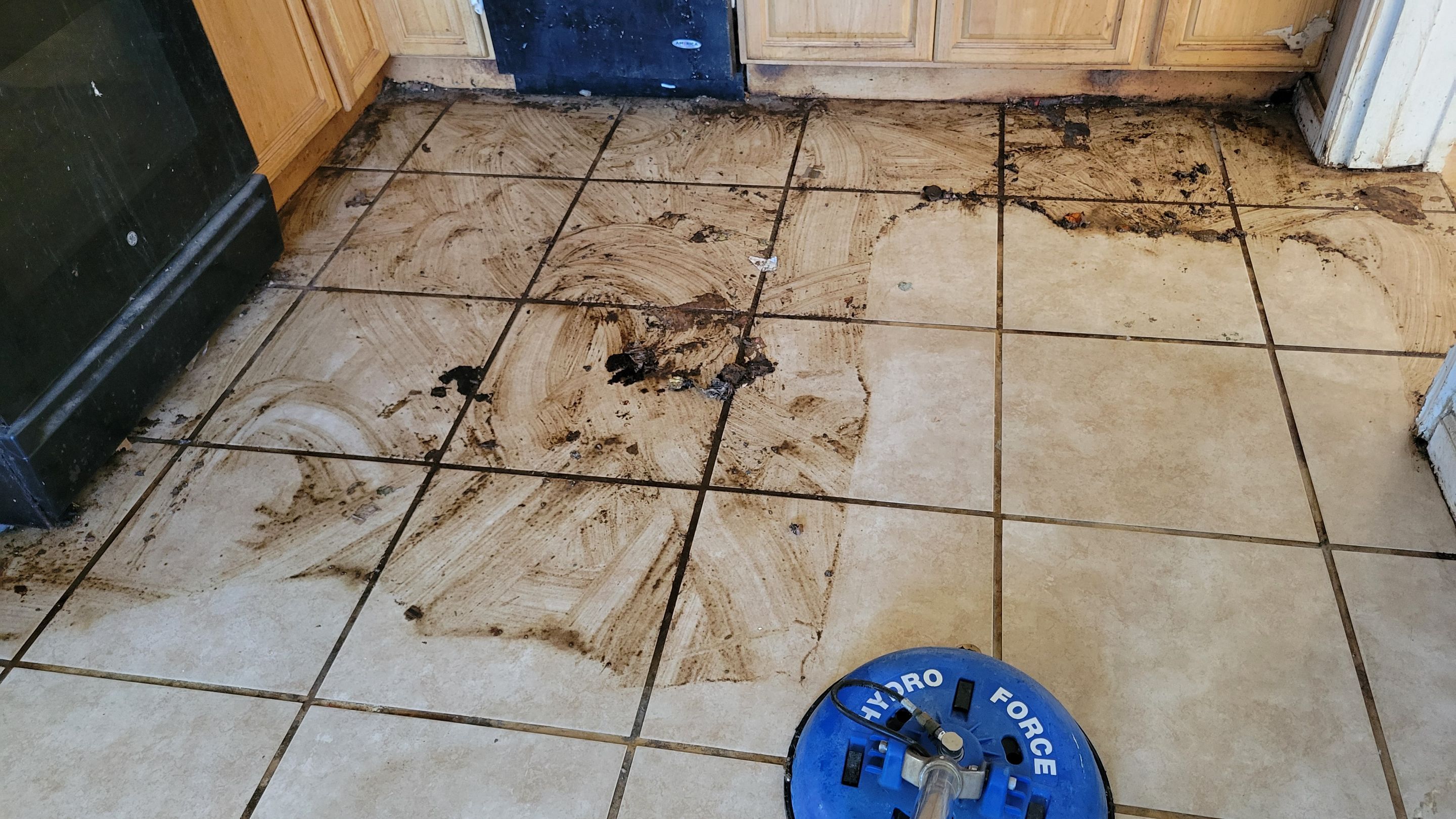 Extreme, Tile Cleaning by Ardent Carpet Restore LLC