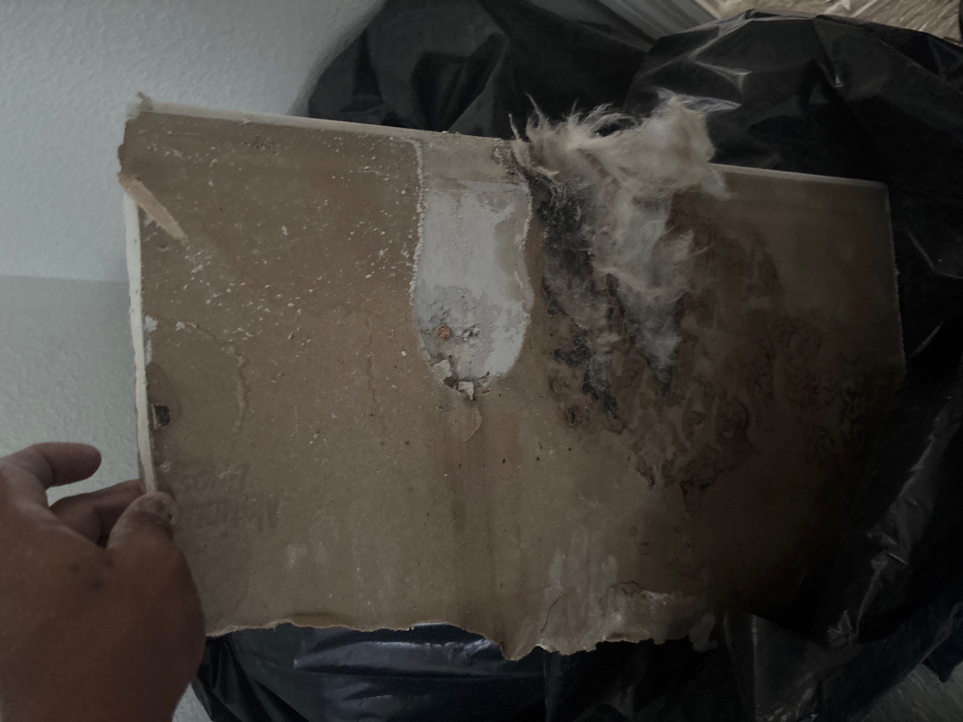 Mold Damage Inspection And Removal In North Port, FL by Ampm Restoration Services