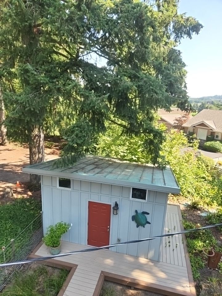 Roof Treatment using Biocide by Willamette Outdoor Wash LLC