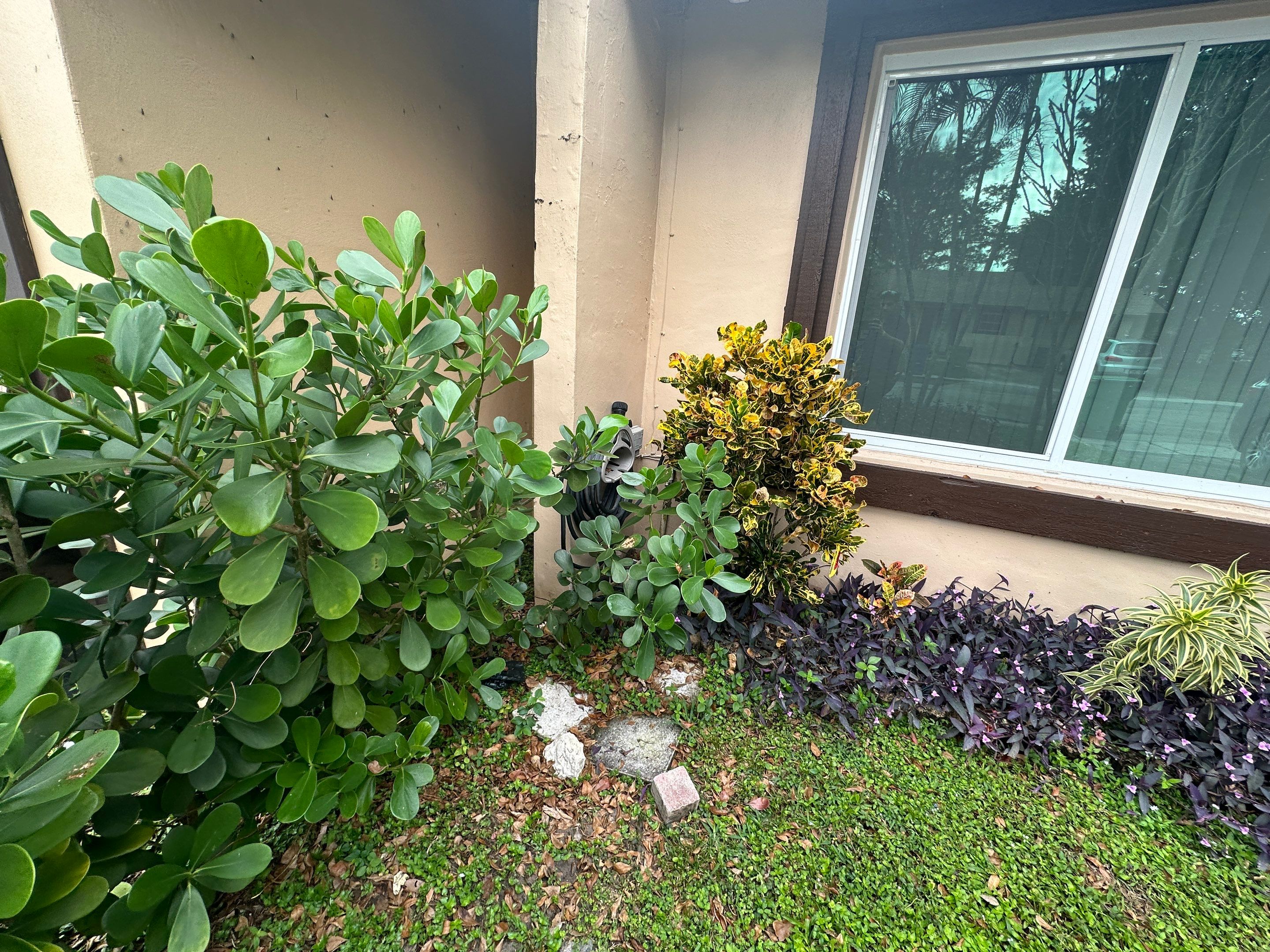 Water Damage Claim in Miramar by FLAPA & KeyStone