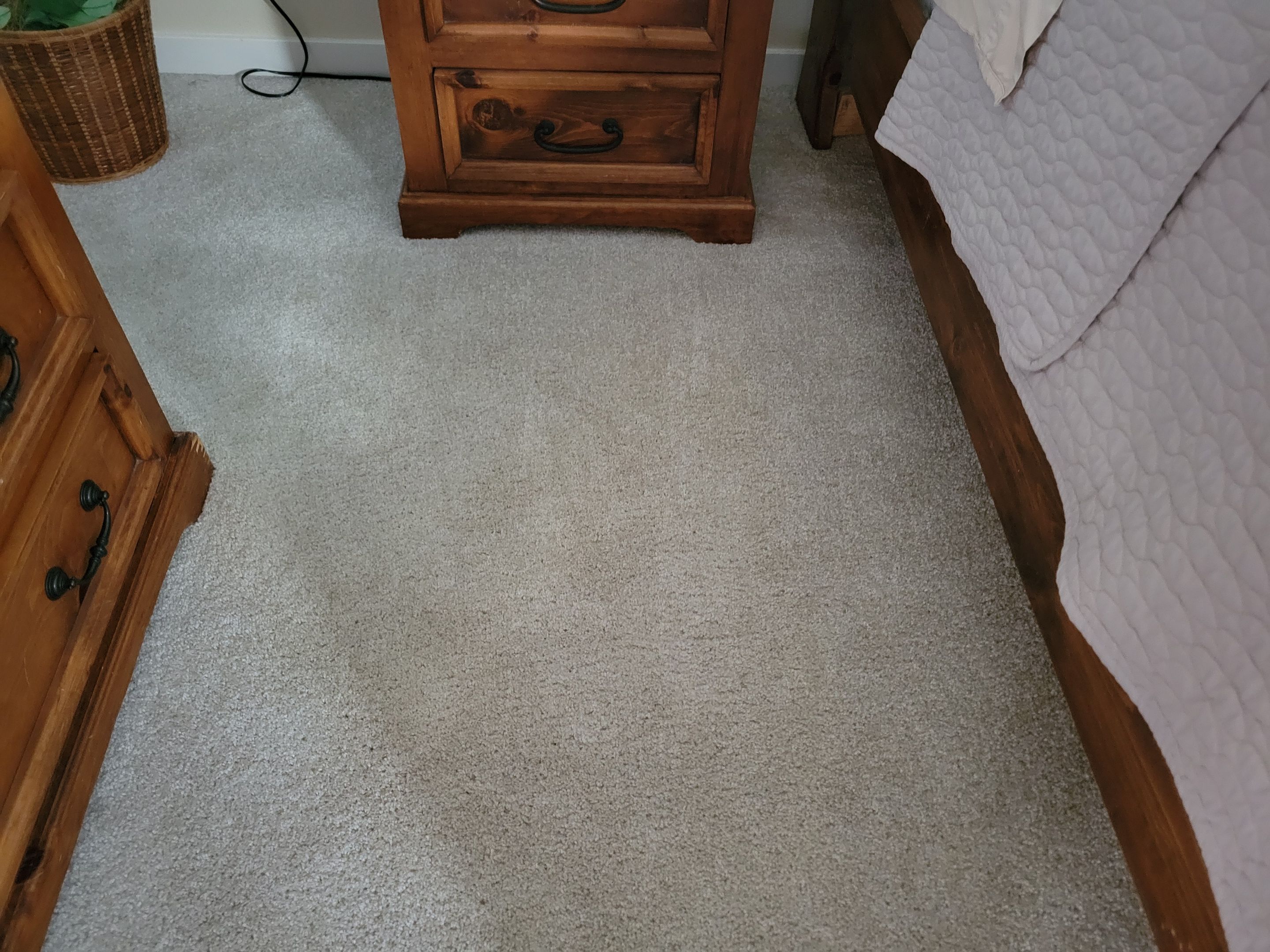 Investment Property, Carpet Cleaning by Ardent Carpet Restore LLC