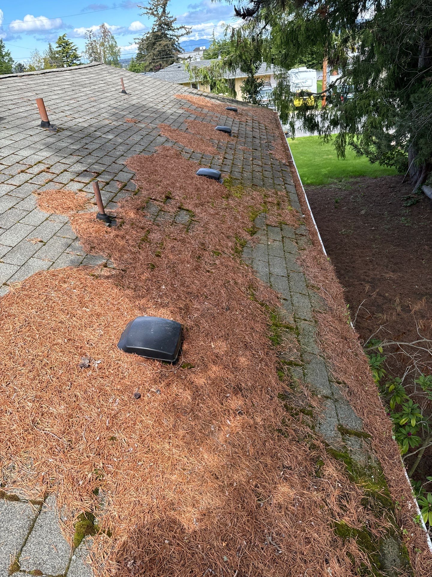 Project in Anacortes by Peaks and Valleys Construction