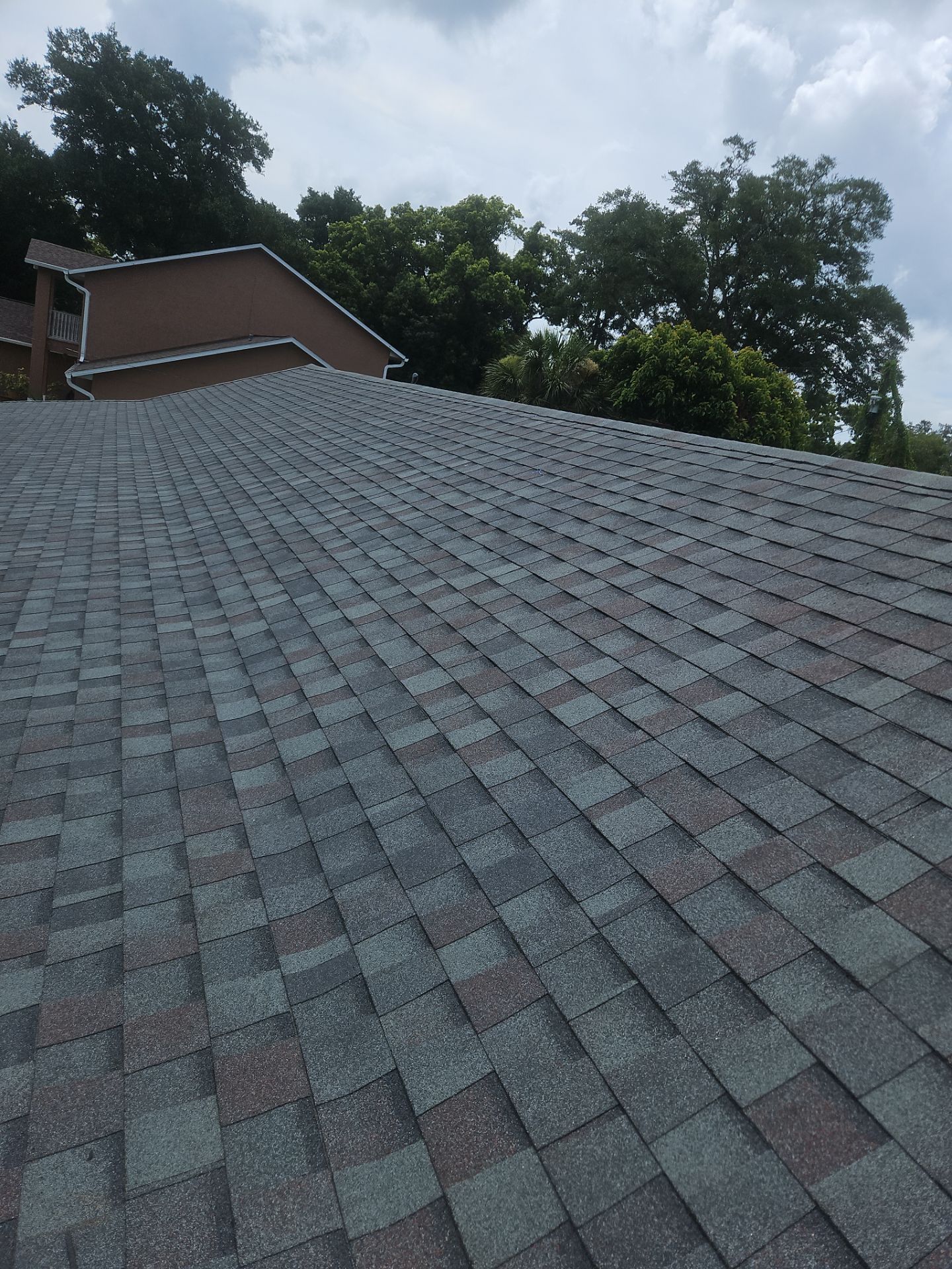 Shingle Reroof Replacement Altamonte Springs FL by Pinnacle Roofing Group
