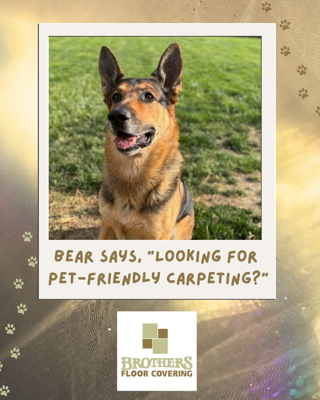 Pet-Friendly Anderson Tuftex Carpet Installation in Indianapolis by Brothers Floor Covering INC.