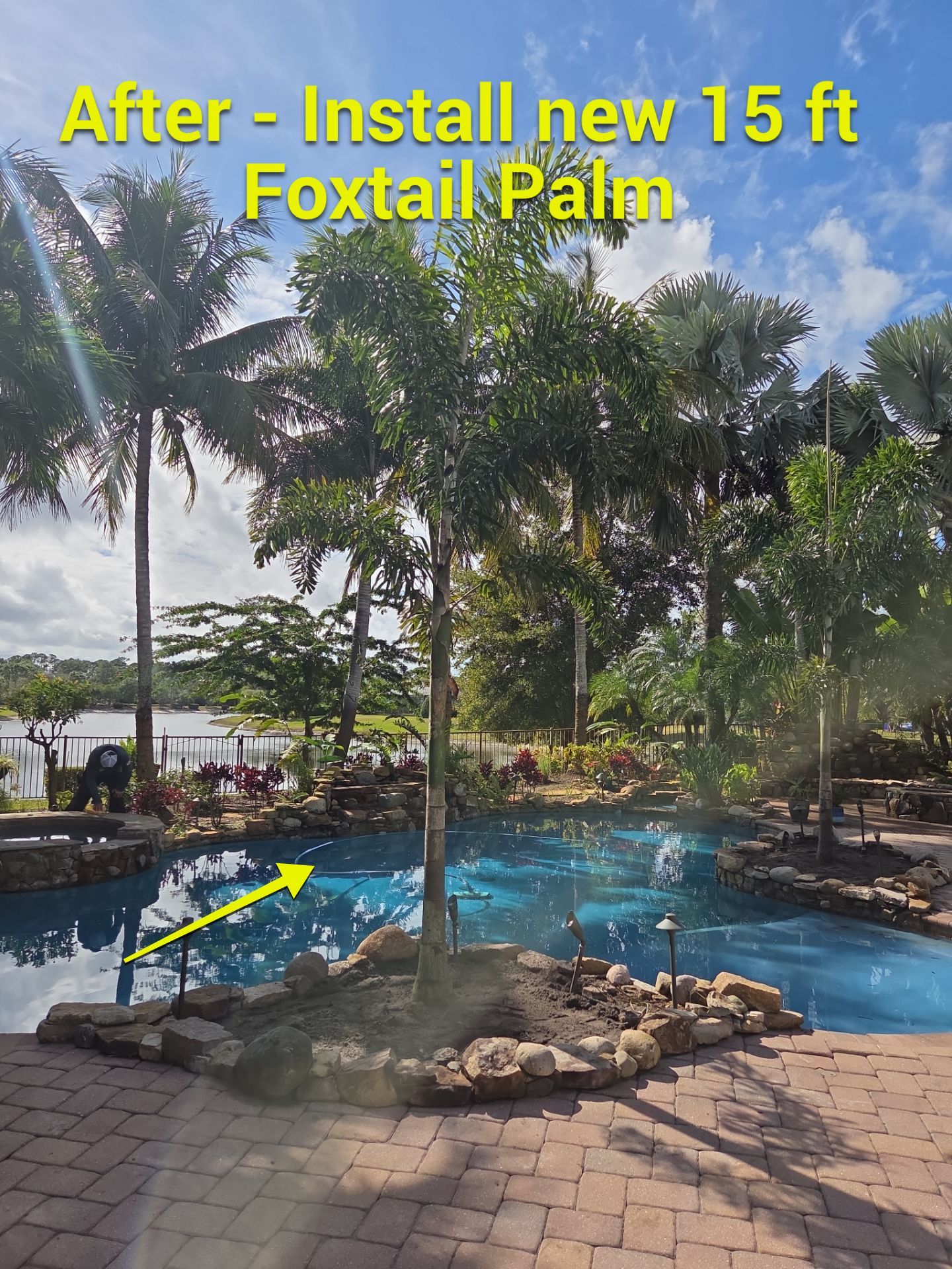 Palm Perfection & Poolside Restoration in Lighthouse Point by Alpha Zeta Enterprises Inc