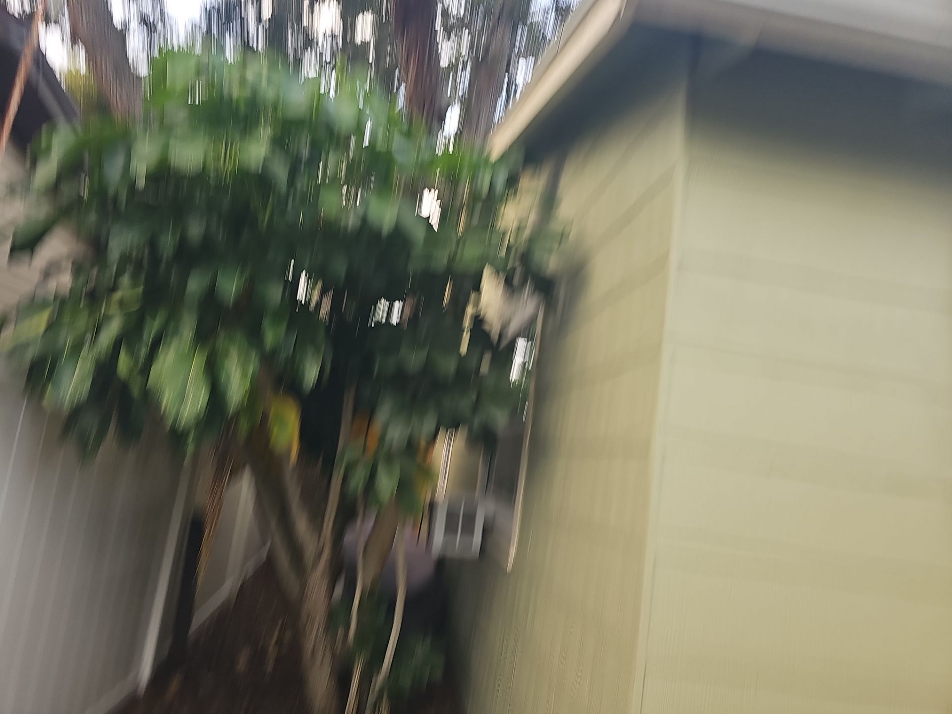 Project in St. Petersburg 33776 by Mitchell Roofing Company LLC 
