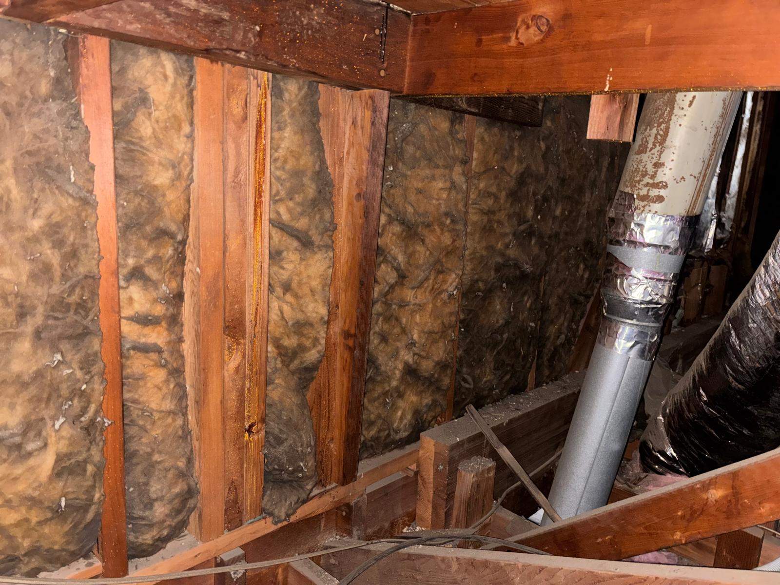 Project in Placentia by Insulation Labs