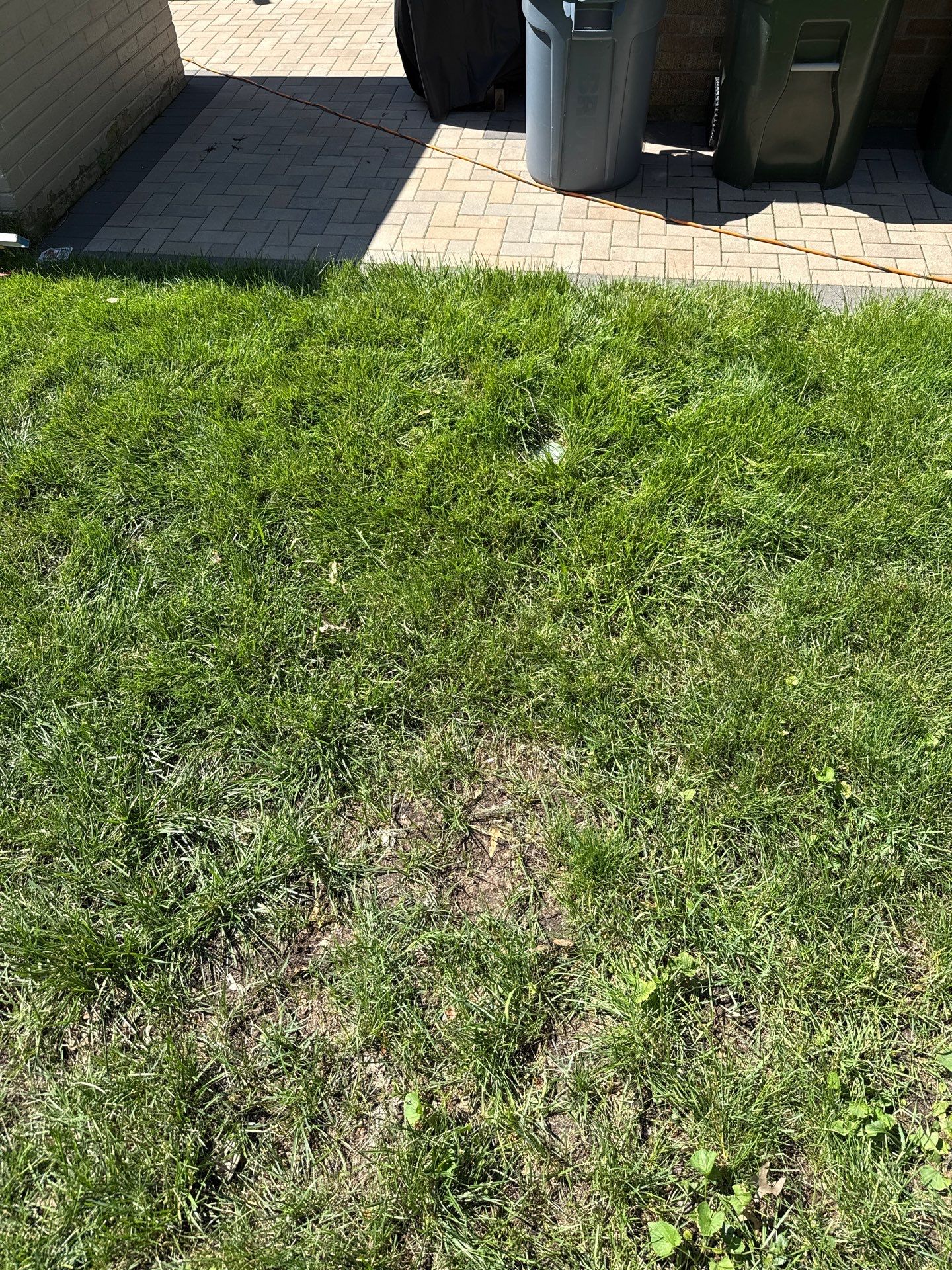 TJ W. - Elk Grove Village, IL by A&N