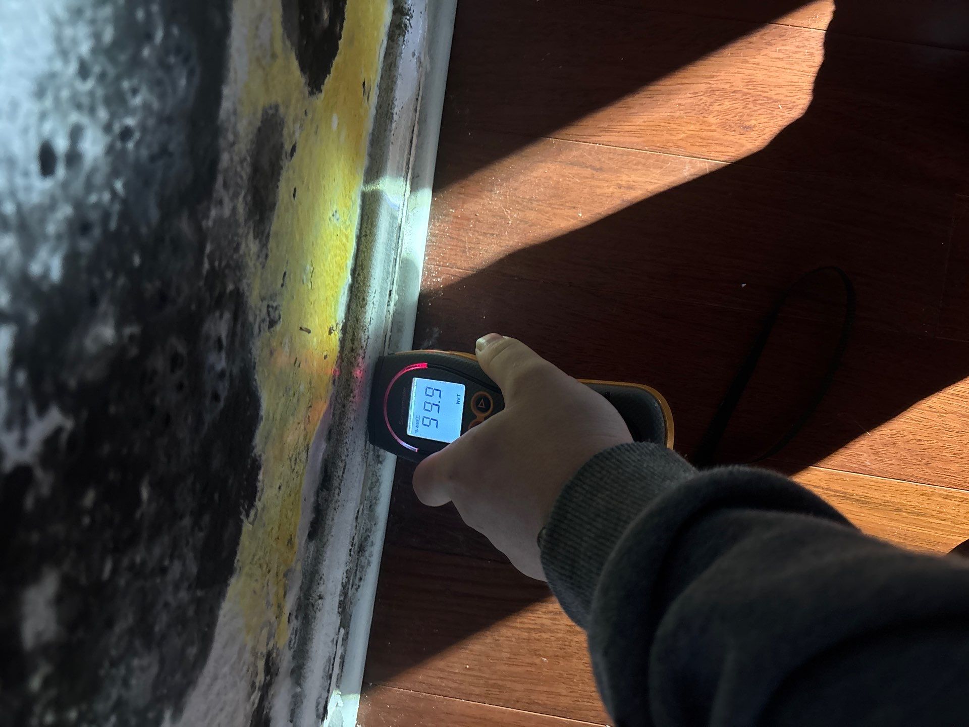 Water Damage Mitigation by All Dry Services of North Austin