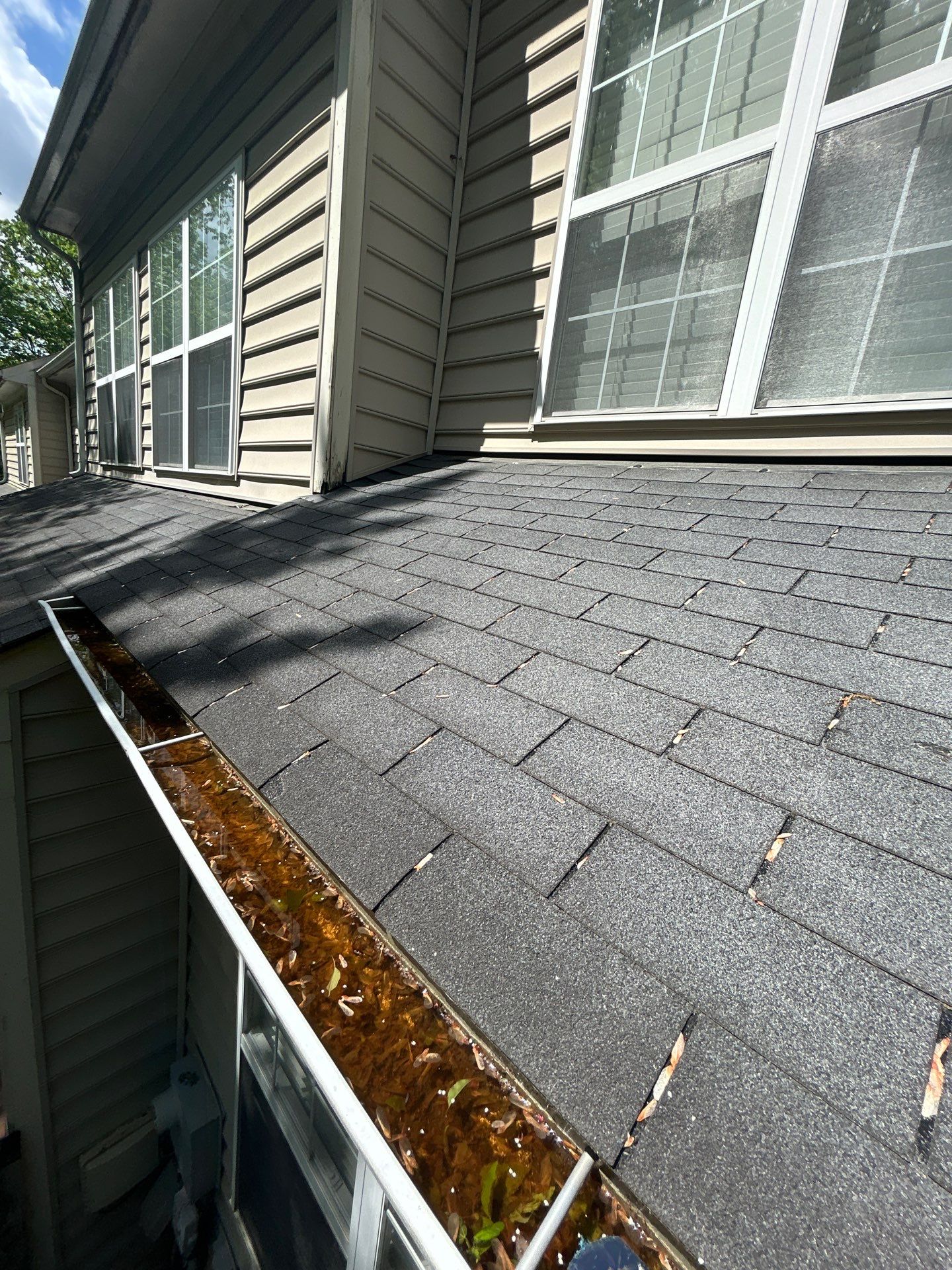 Reston Roof Replacement with CertainTeed Landmark PRO in Max Def Moire Black by RM Banning, Inc.