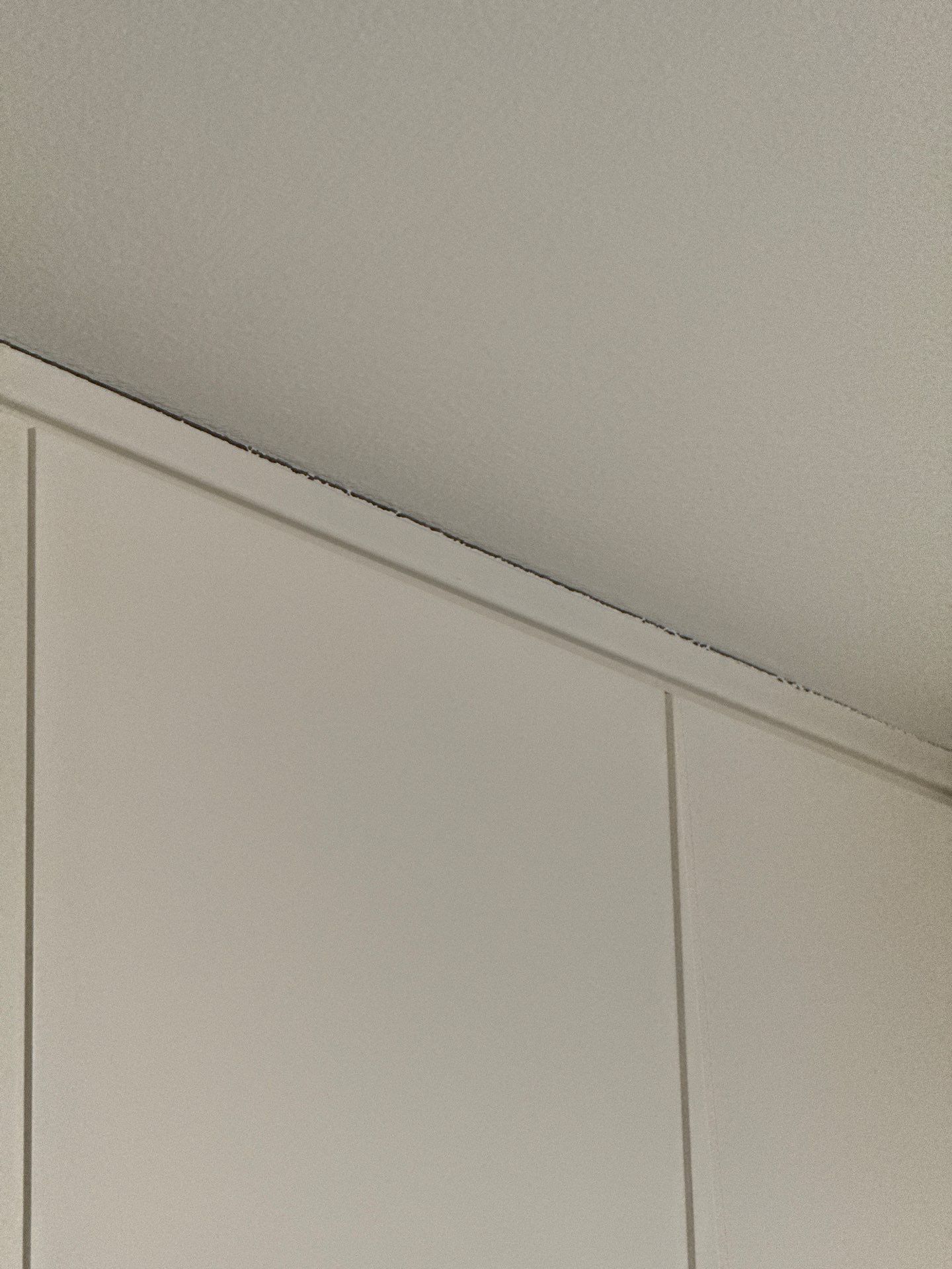 Black Lab Remodeling featured photo.