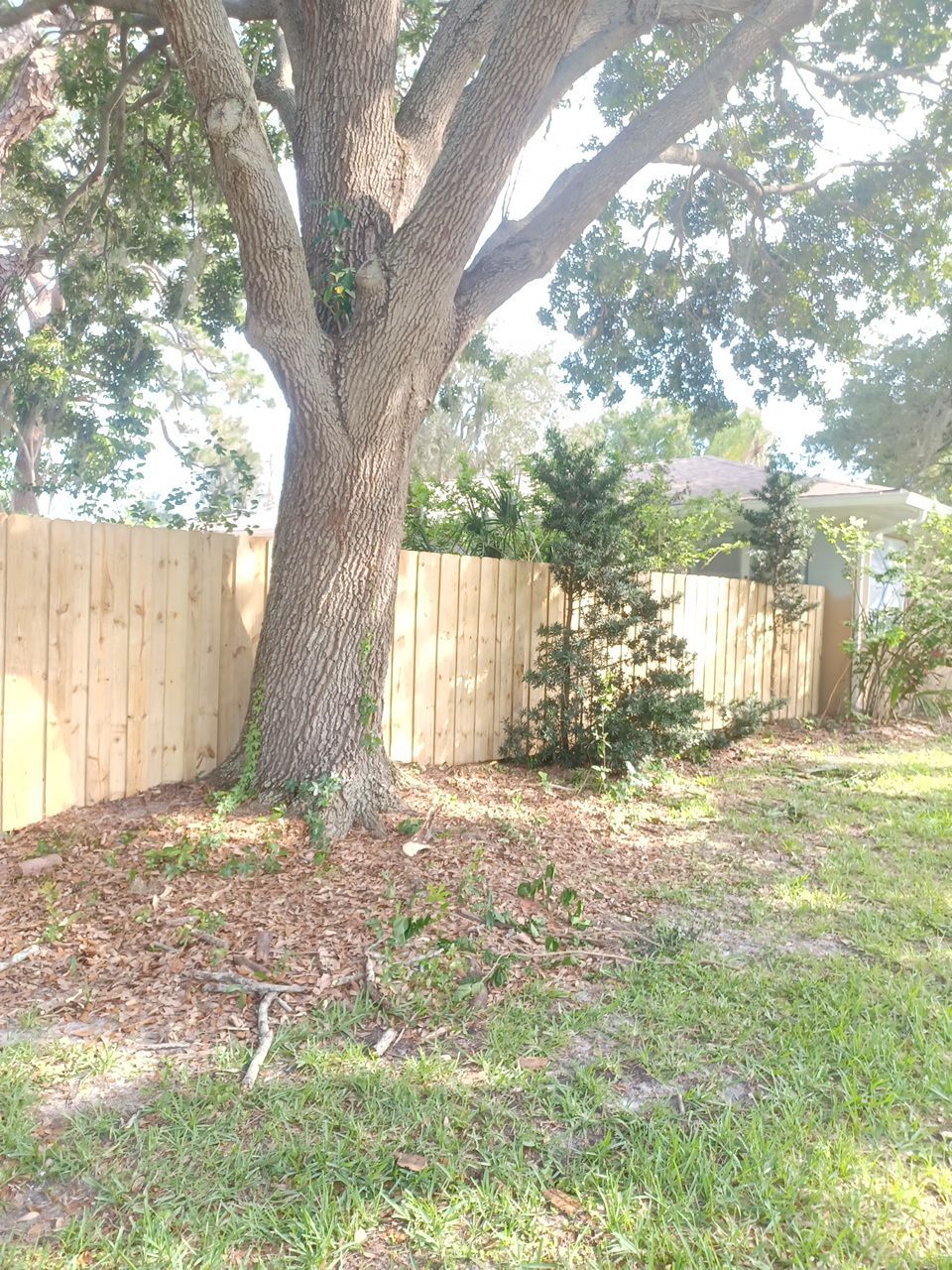 Sarasota, FL 6ft. Tall Treated Board on Board Wood Fence by Asap fence and gates, LLC