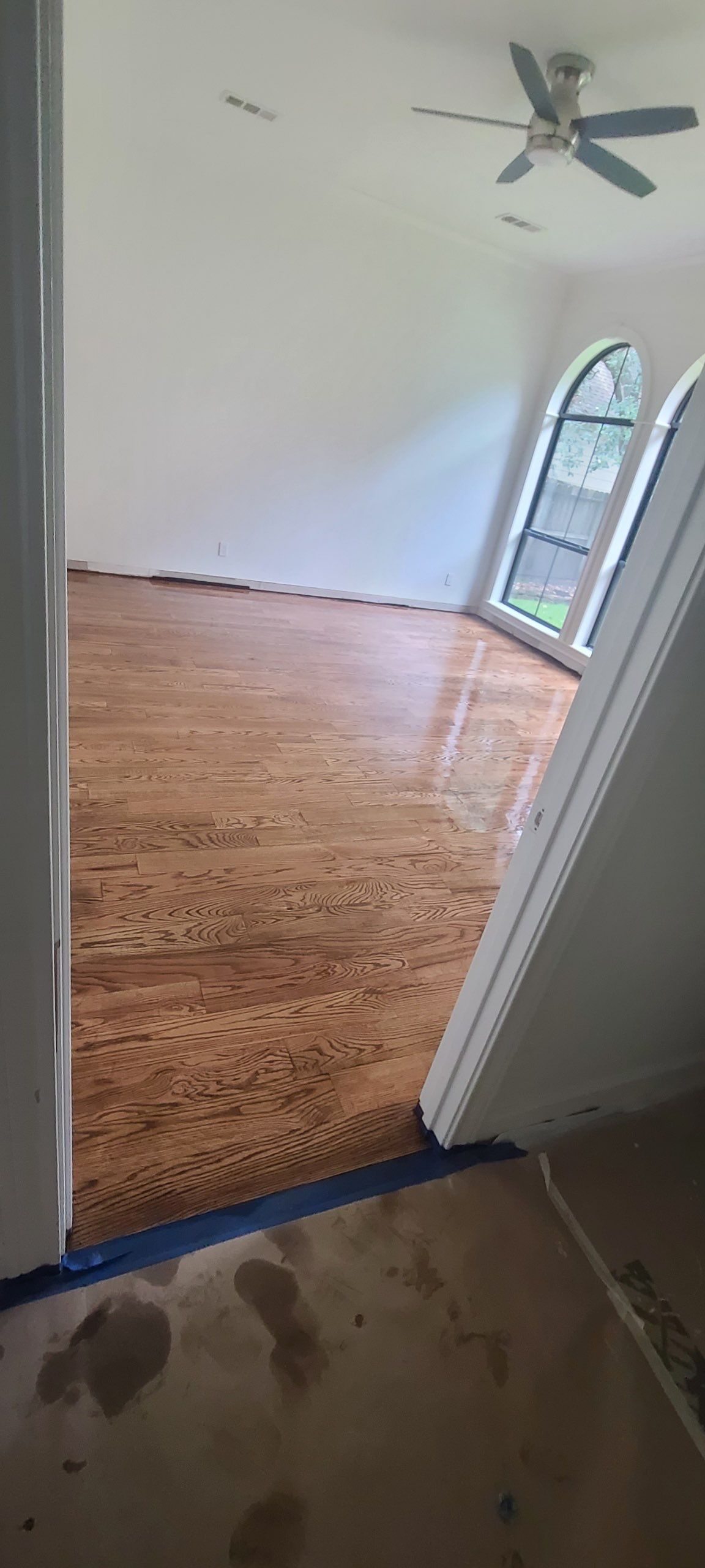 The Napolitano Family by SophAlx LLC