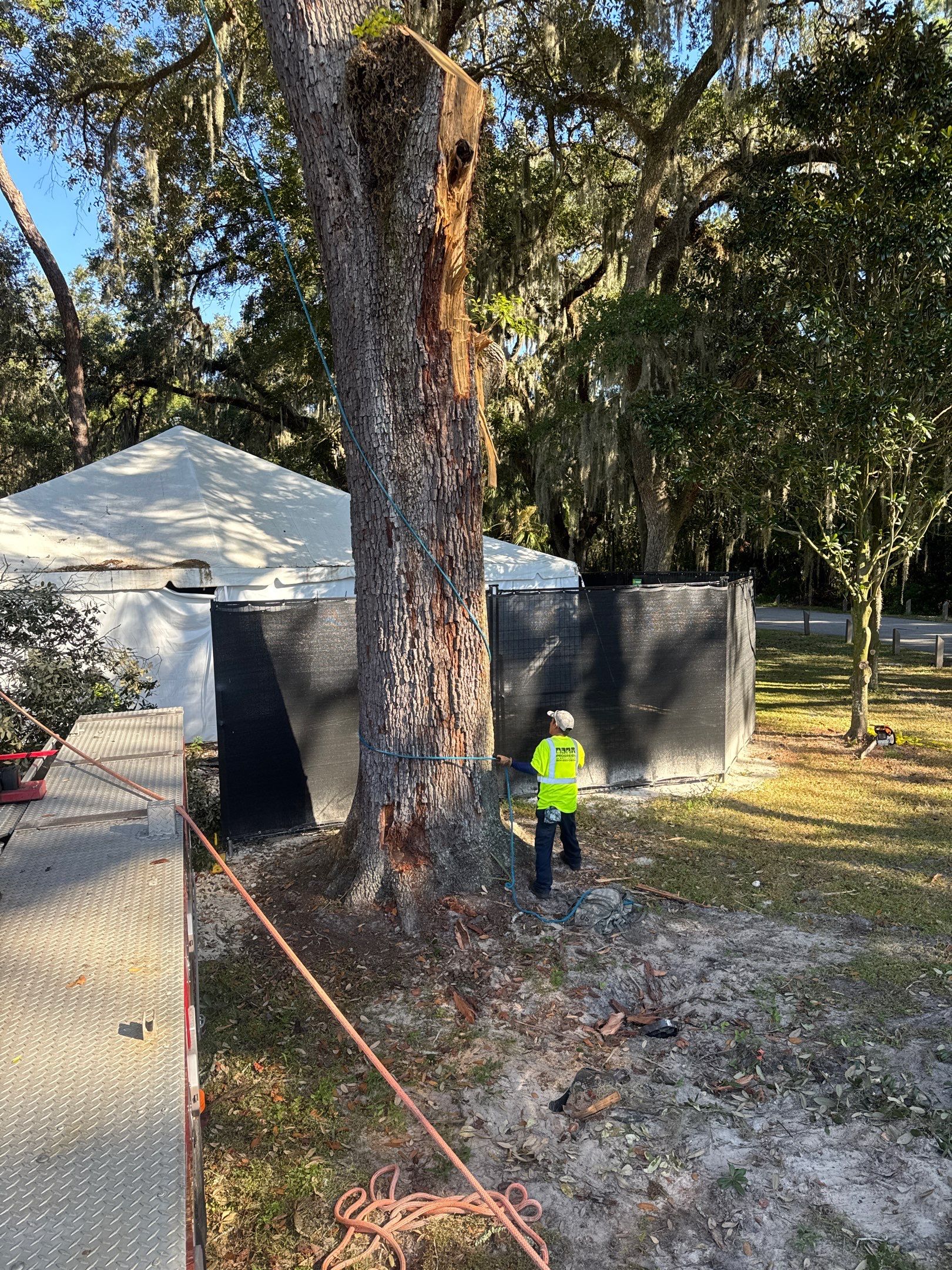 Episcopal | Large Tree Removal by ProGreen Services