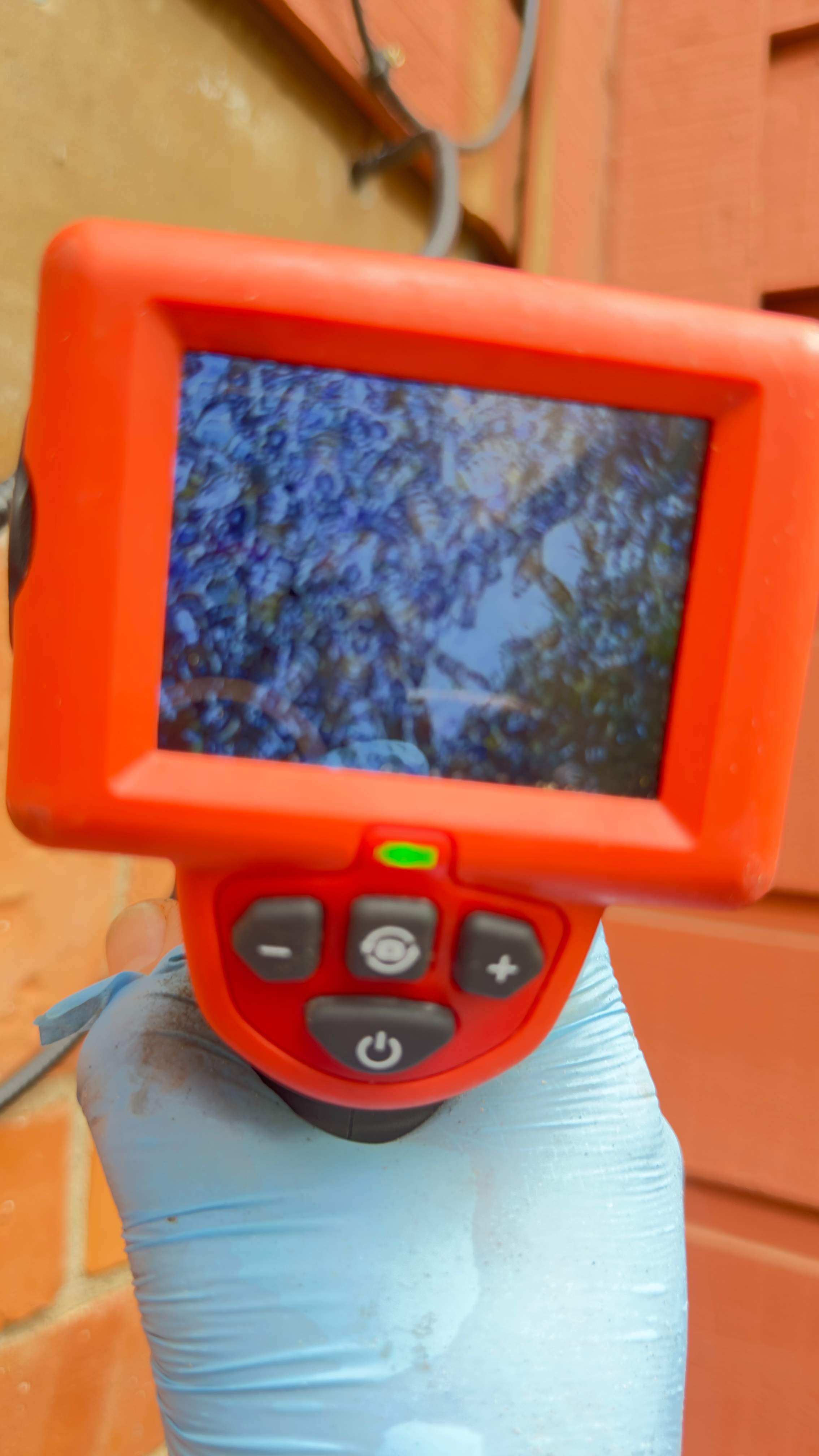 Apartment by Rockwall Honey Bee Company