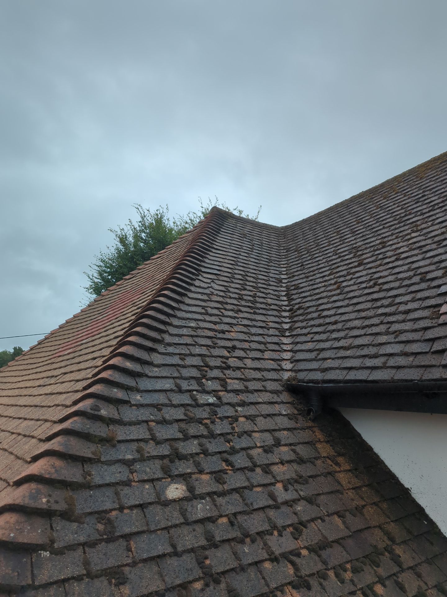 Roof Clean  - Moss Removal - Gutter Clean by Ges Exterior Cleaning ltd