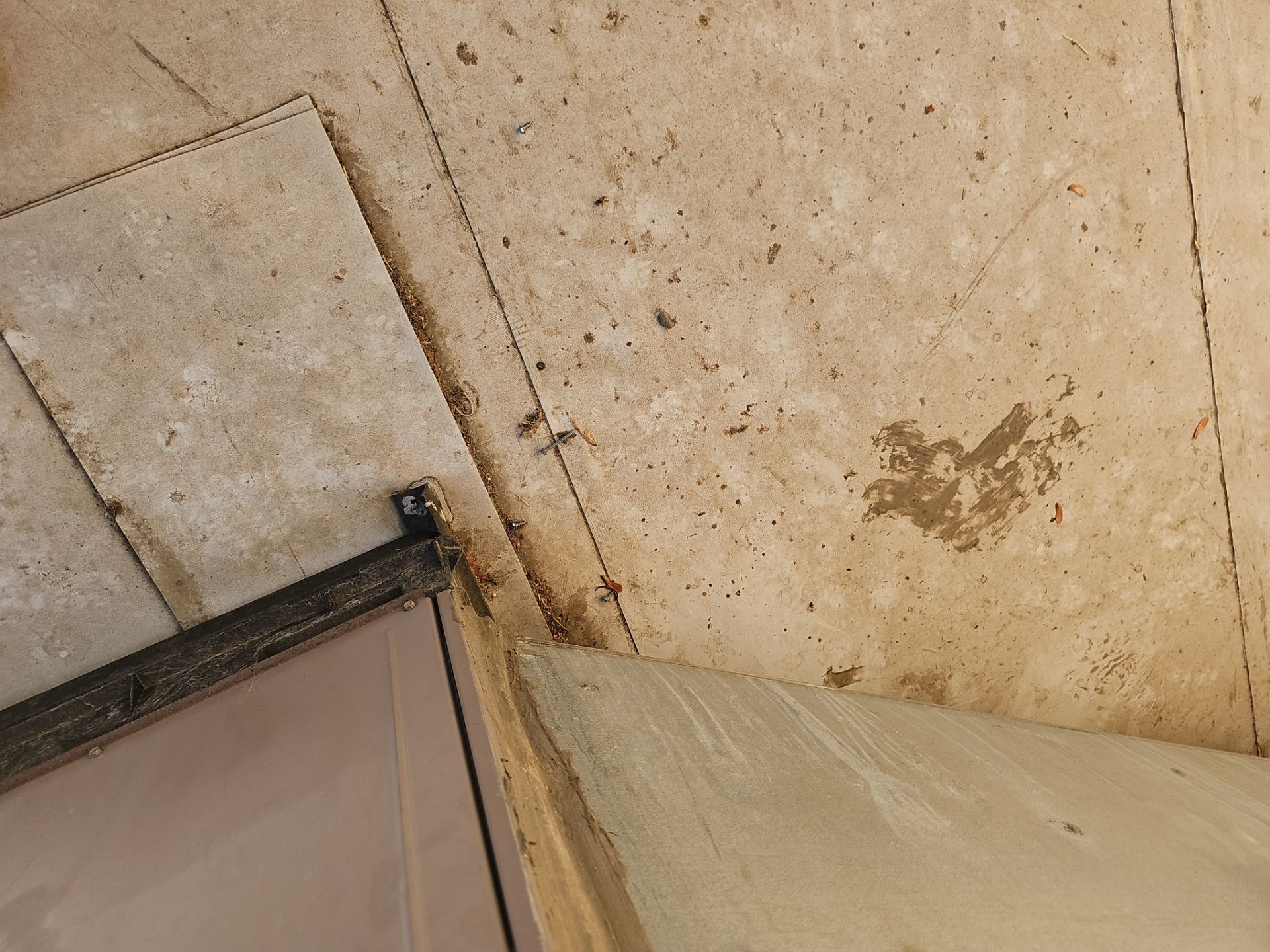 Reroof - Hinton Ave, Delhi by Econo Roofing