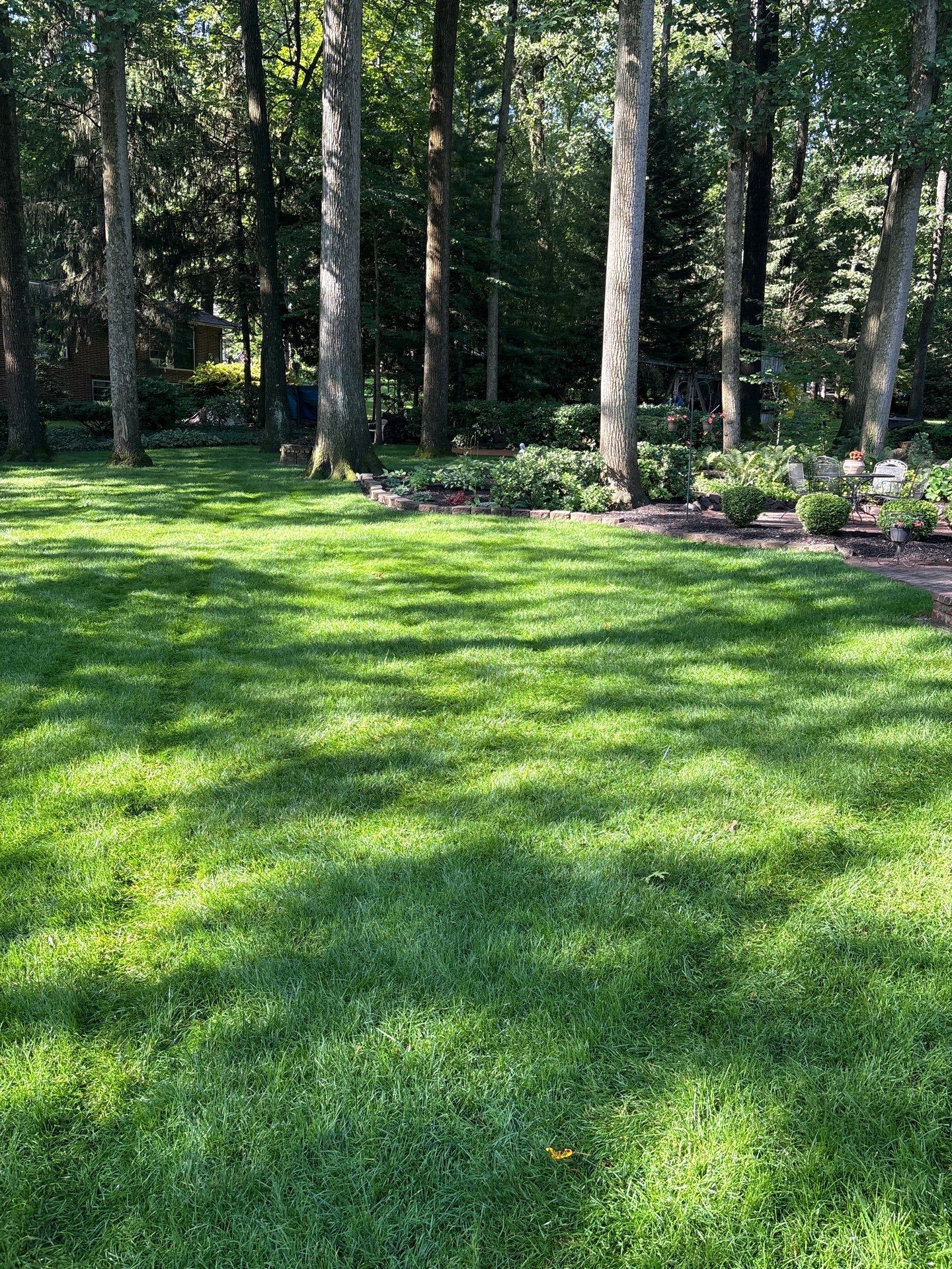 East York Pa by Go Green CLC