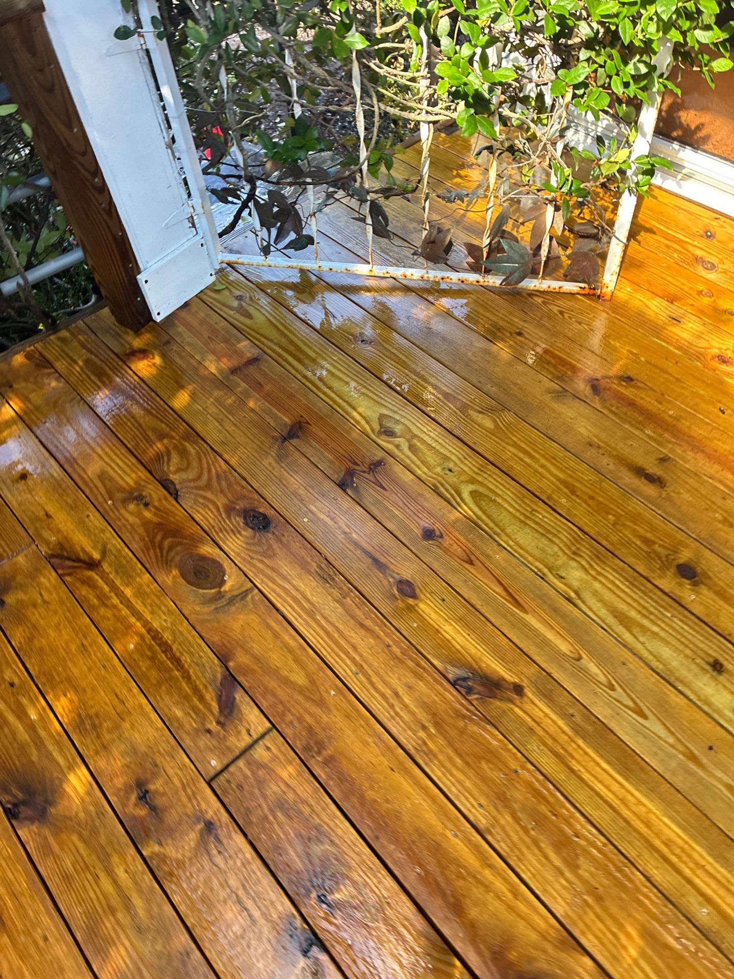 Deck using Wood Sealant by DuraSeal