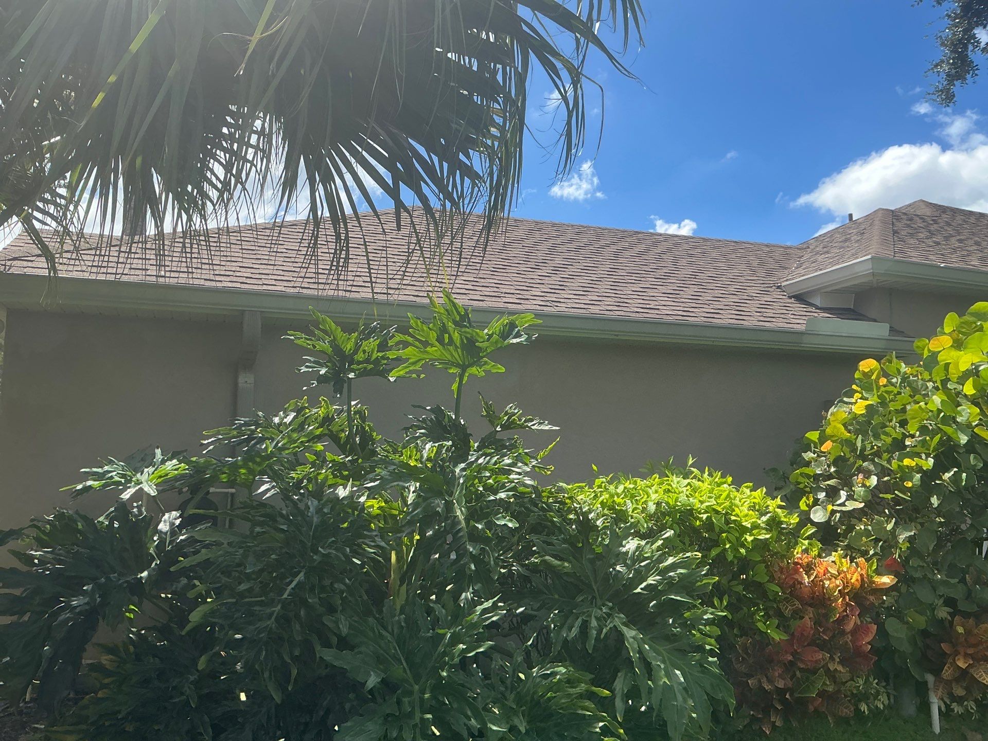 White 6-Inch Seamless Gutters in Sarasota FL by Gutter Professor by Gutter Professors