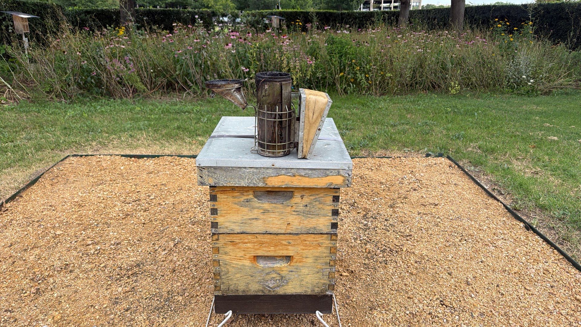 Apartment Retreat for Honey Bees in Garland by Rockwall Honey Bee Company